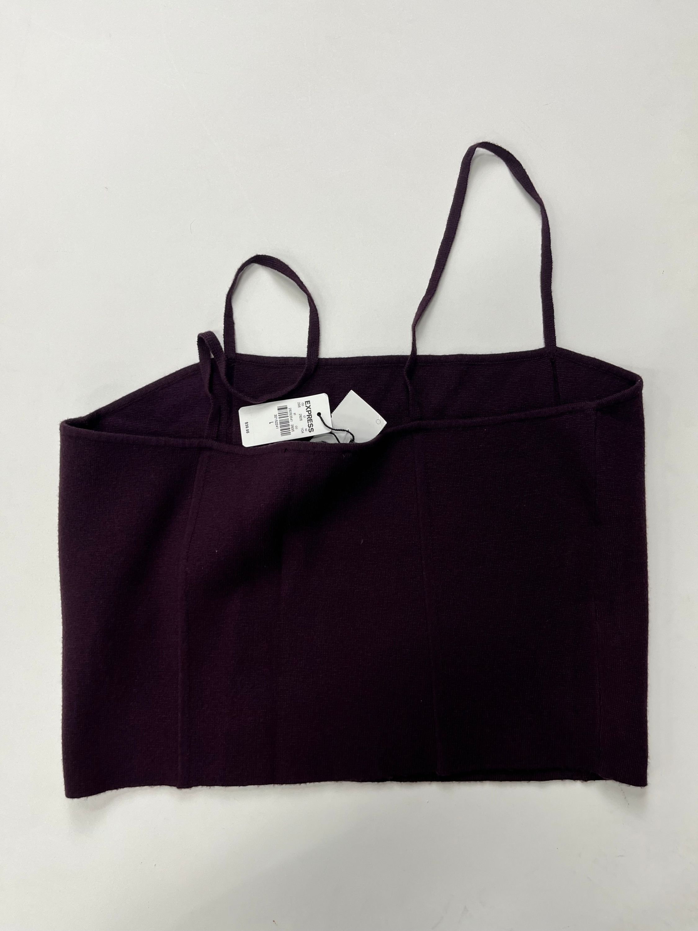 Tank Top By Express NWT  Size: L - Image 2