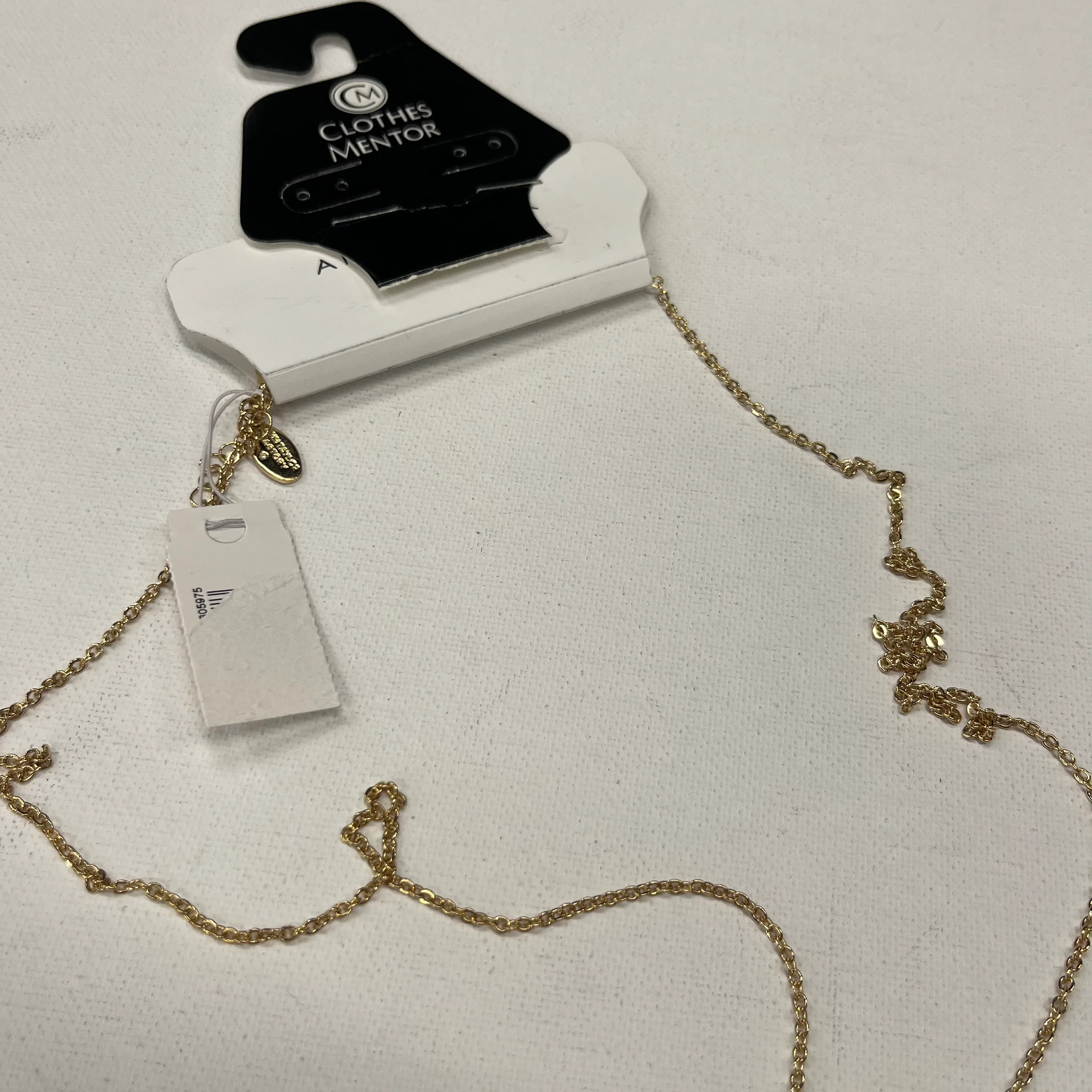 Necklace Lariat & Y-drop By Ann Taylor NWT - Image 3