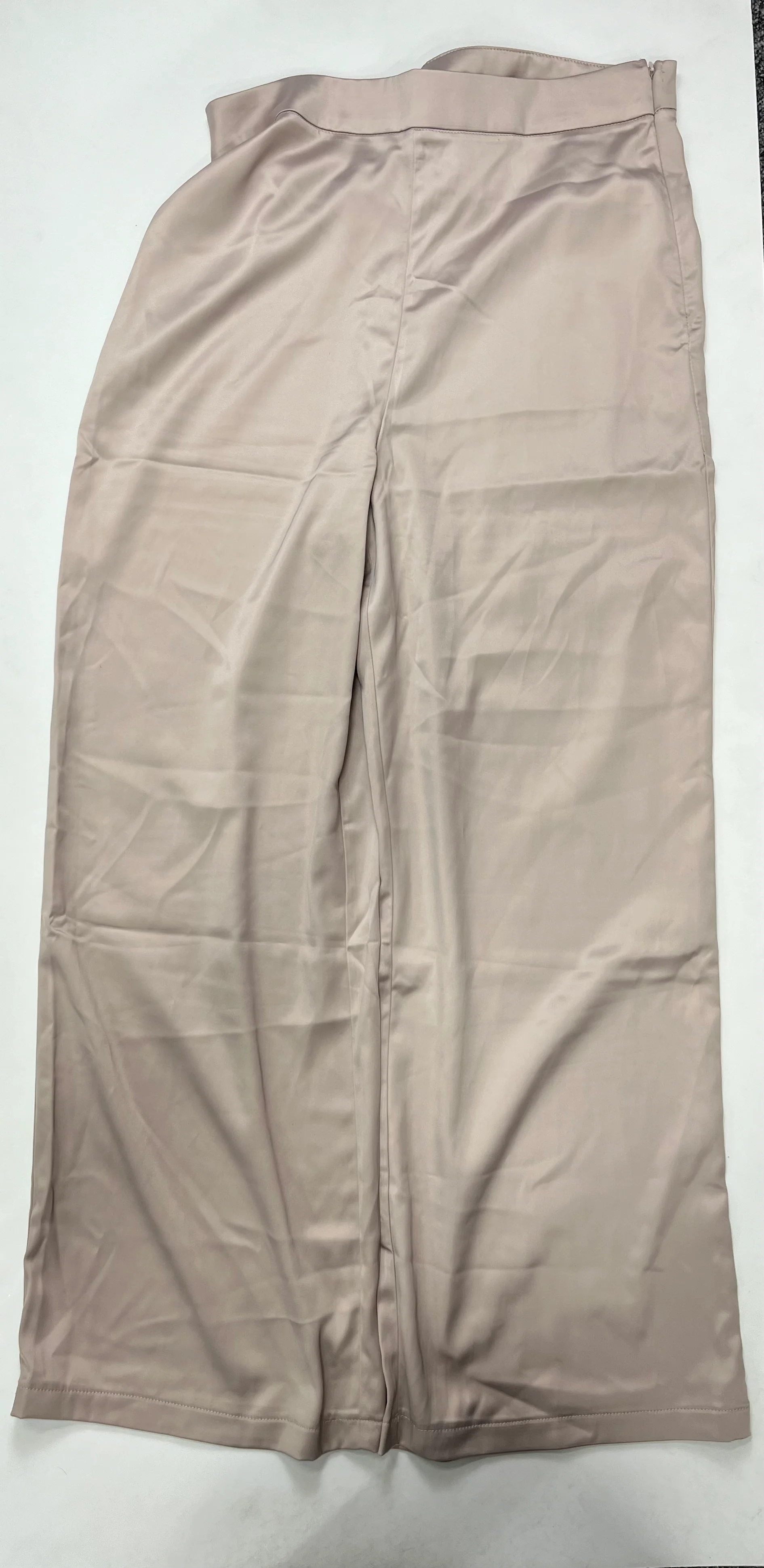 Pants Palazzo By Hyfve NWT Size: 12