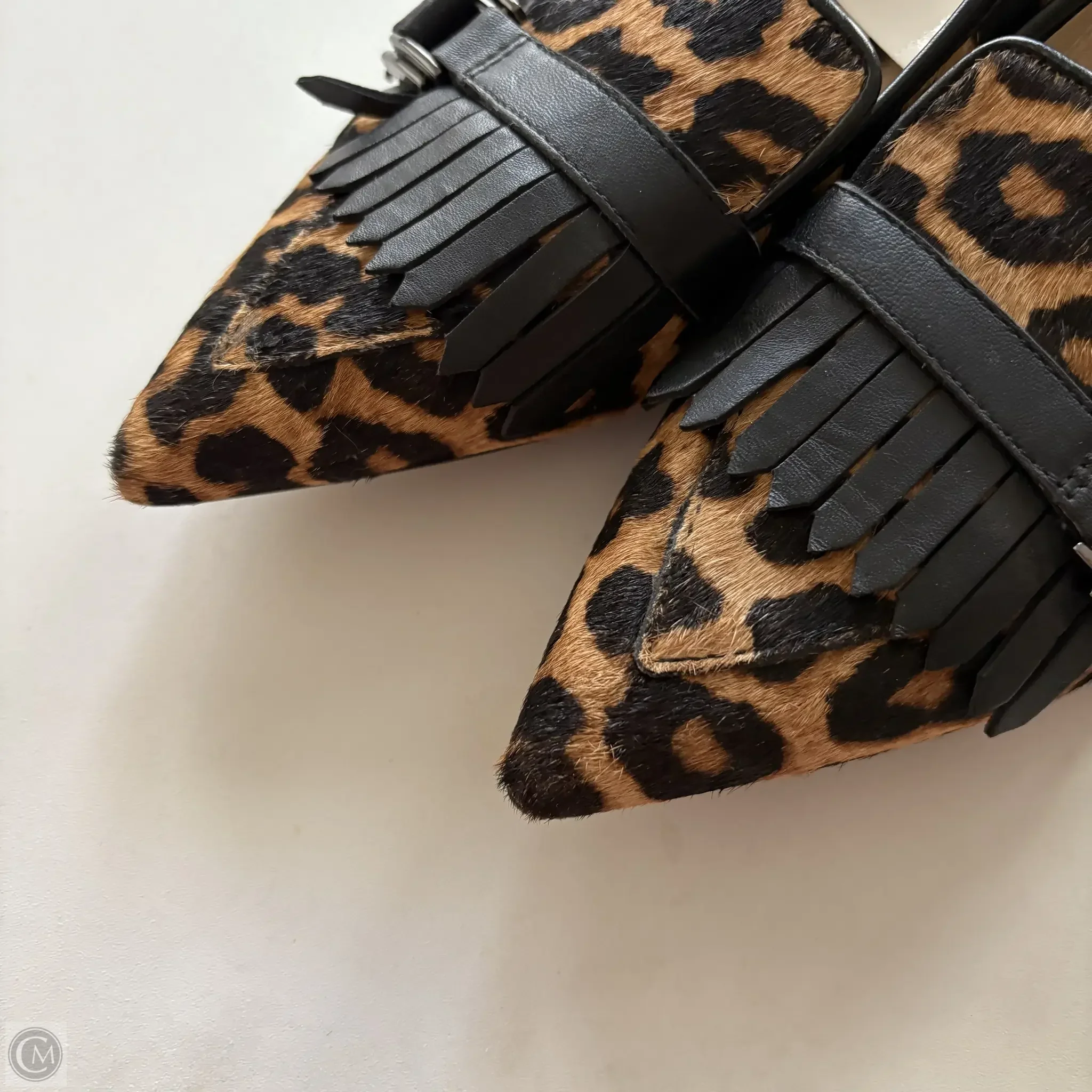 Shoes Flats By Franco Sarto In Animal Print, Size: 8 - Image 2