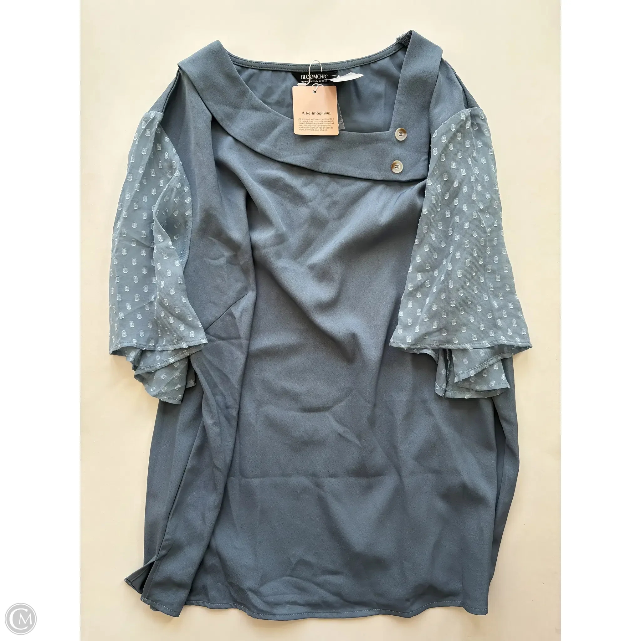 Blouse Long Sleeve By Clothes Mentor In Blue, Size: 1x - Image 1