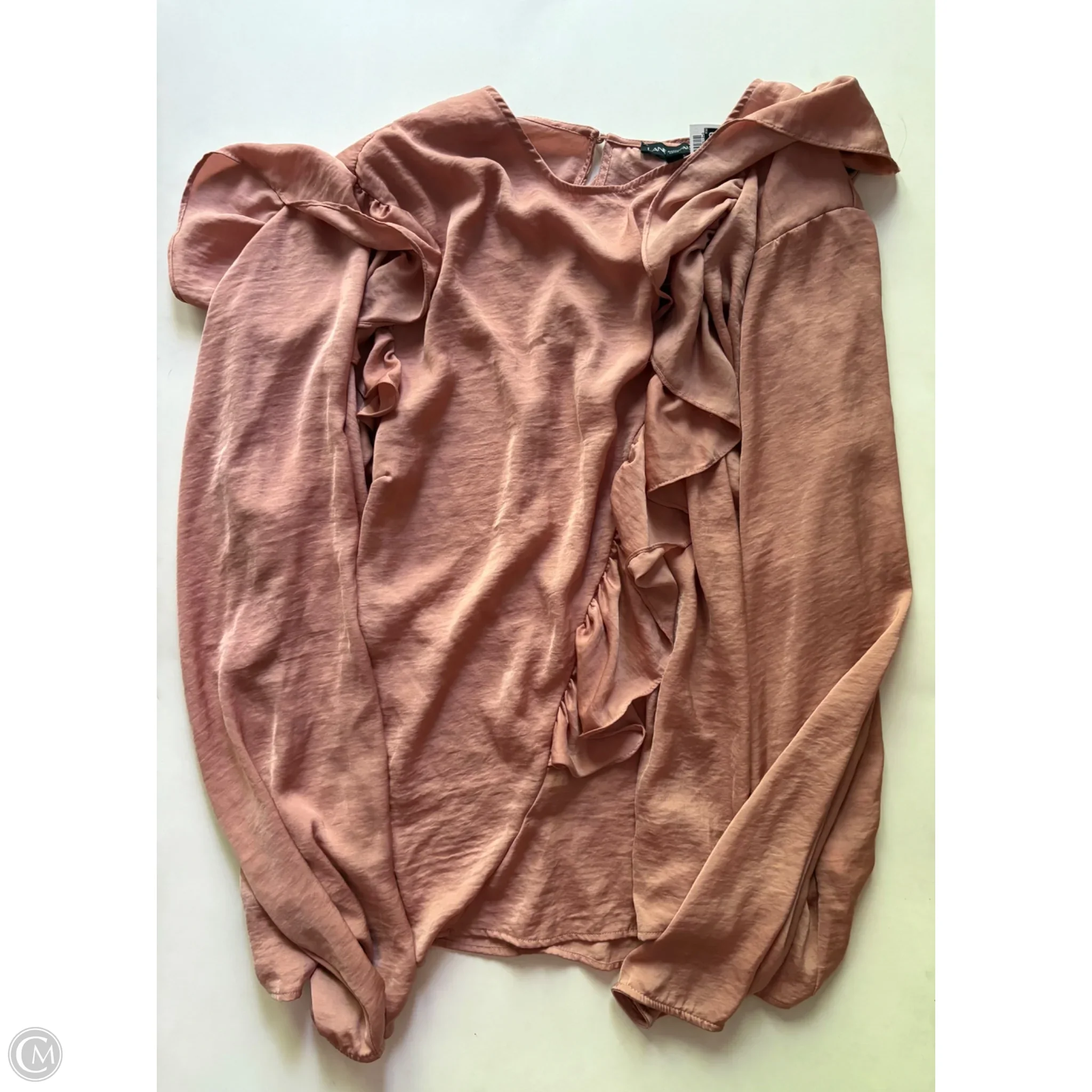Blouse Long Sleeve By Lane Bryant In Bronze, Size: 4x - Image 1