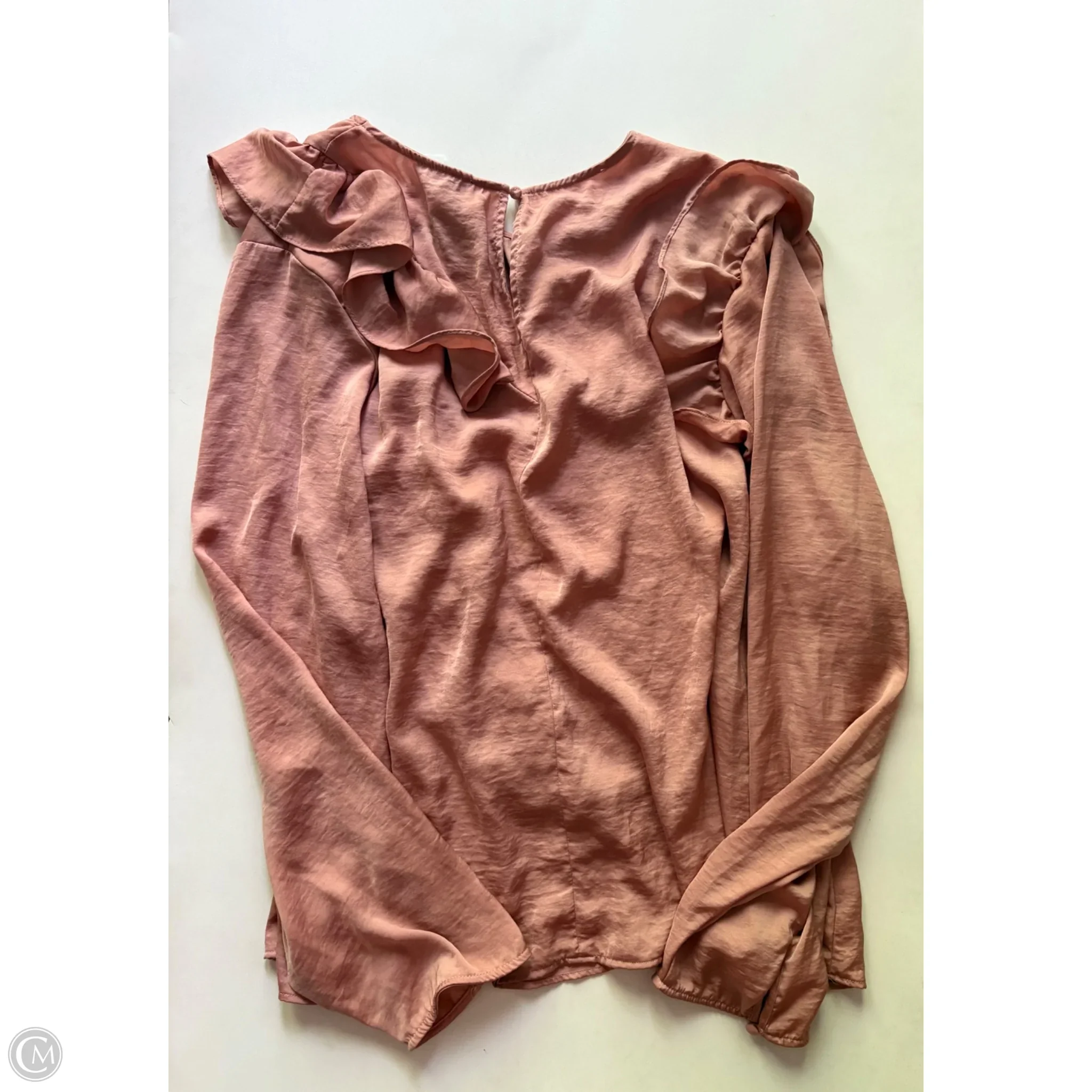 Blouse Long Sleeve By Lane Bryant In Bronze, Size: 4x - Image 2