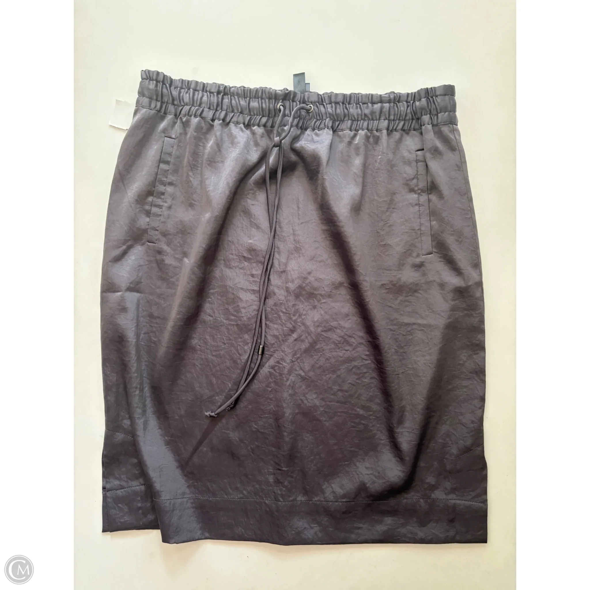 Skirt Midi By Marla Wynne In Grey, Size: 12 - Image 1