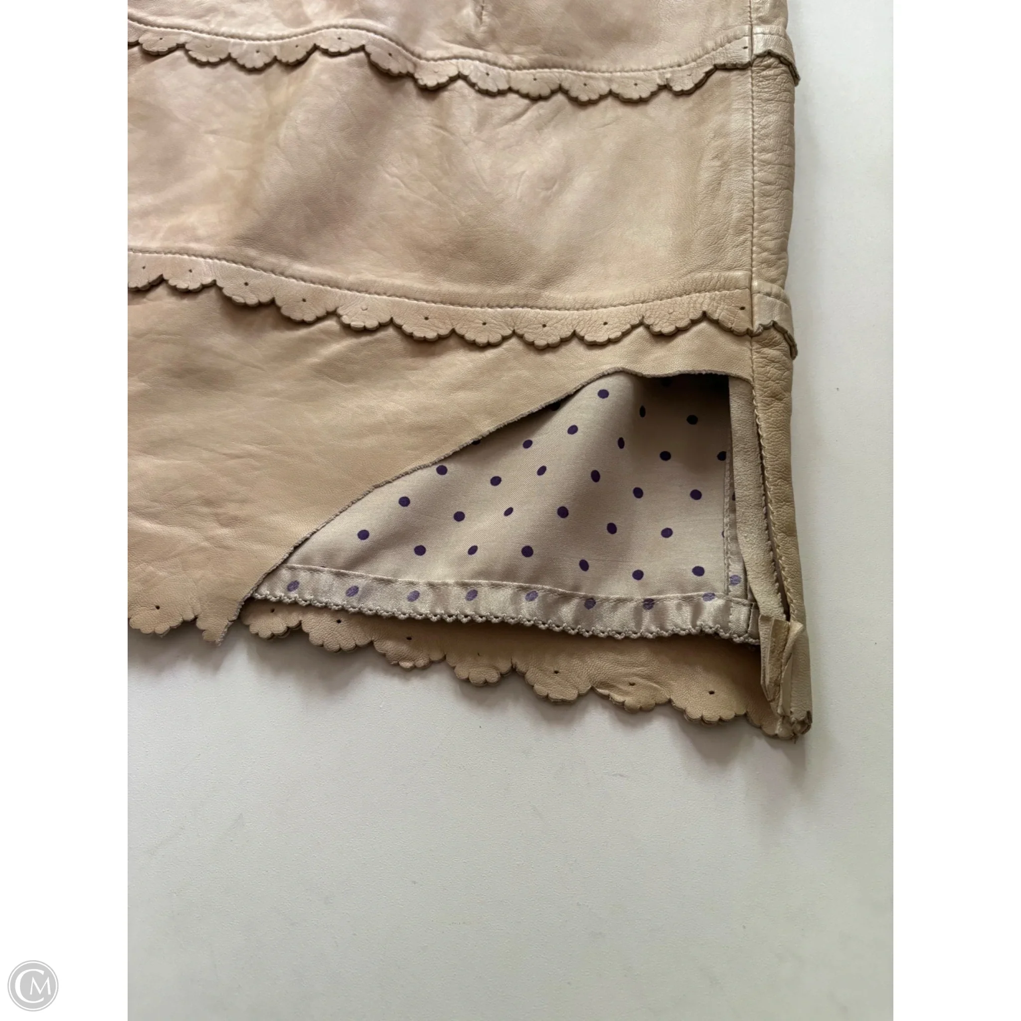 Skirt Mini & Short By Leifsdottir In Tan, Size: 8 - Image 3