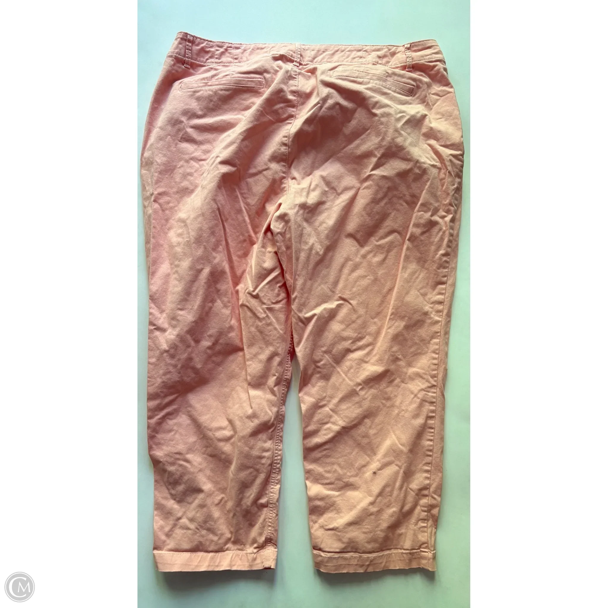 Pants Chinos & Khakis By Loft In Peach, Size: 18 - Image 2