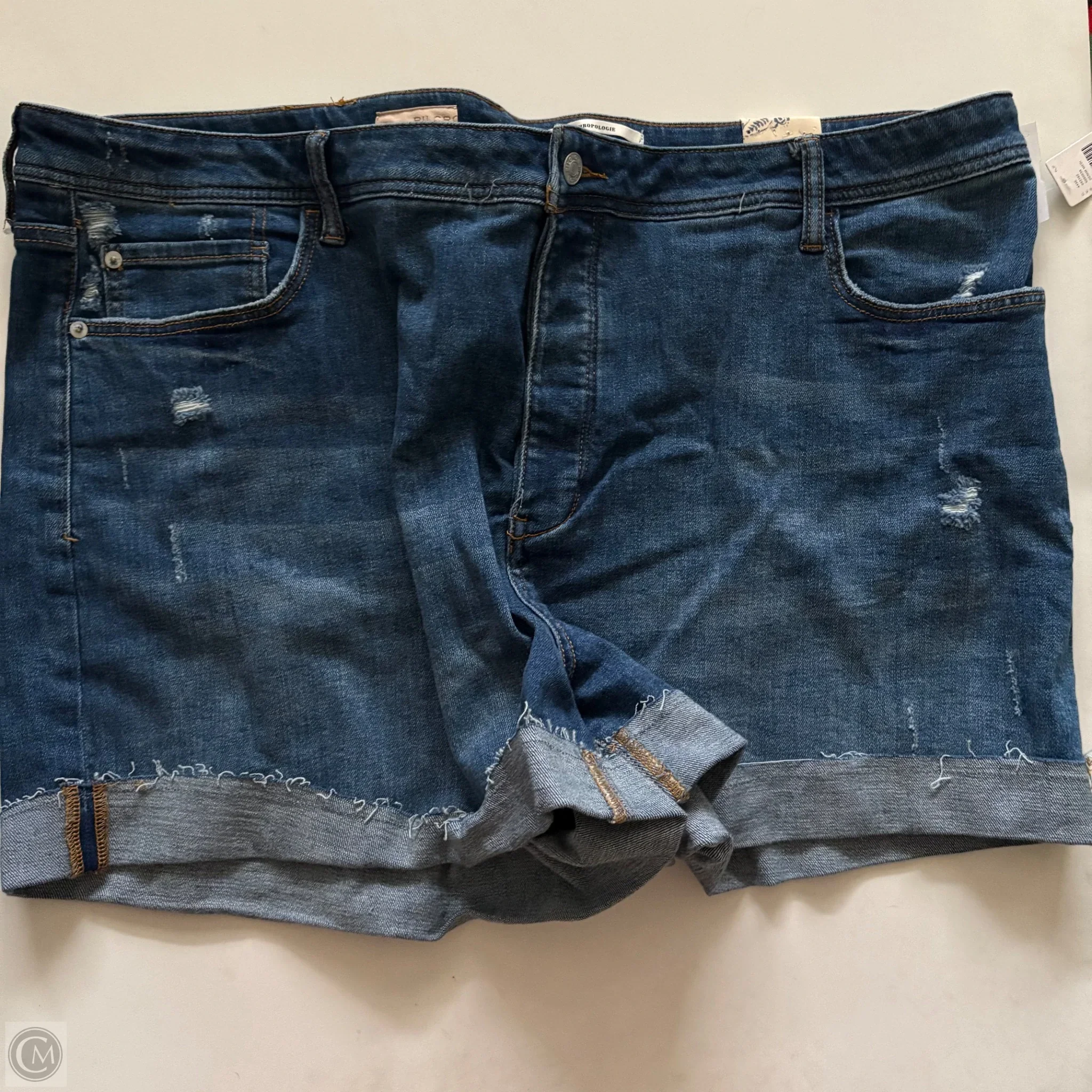 Shorts By Pilcro In Blue, Size: 22 - Image 1