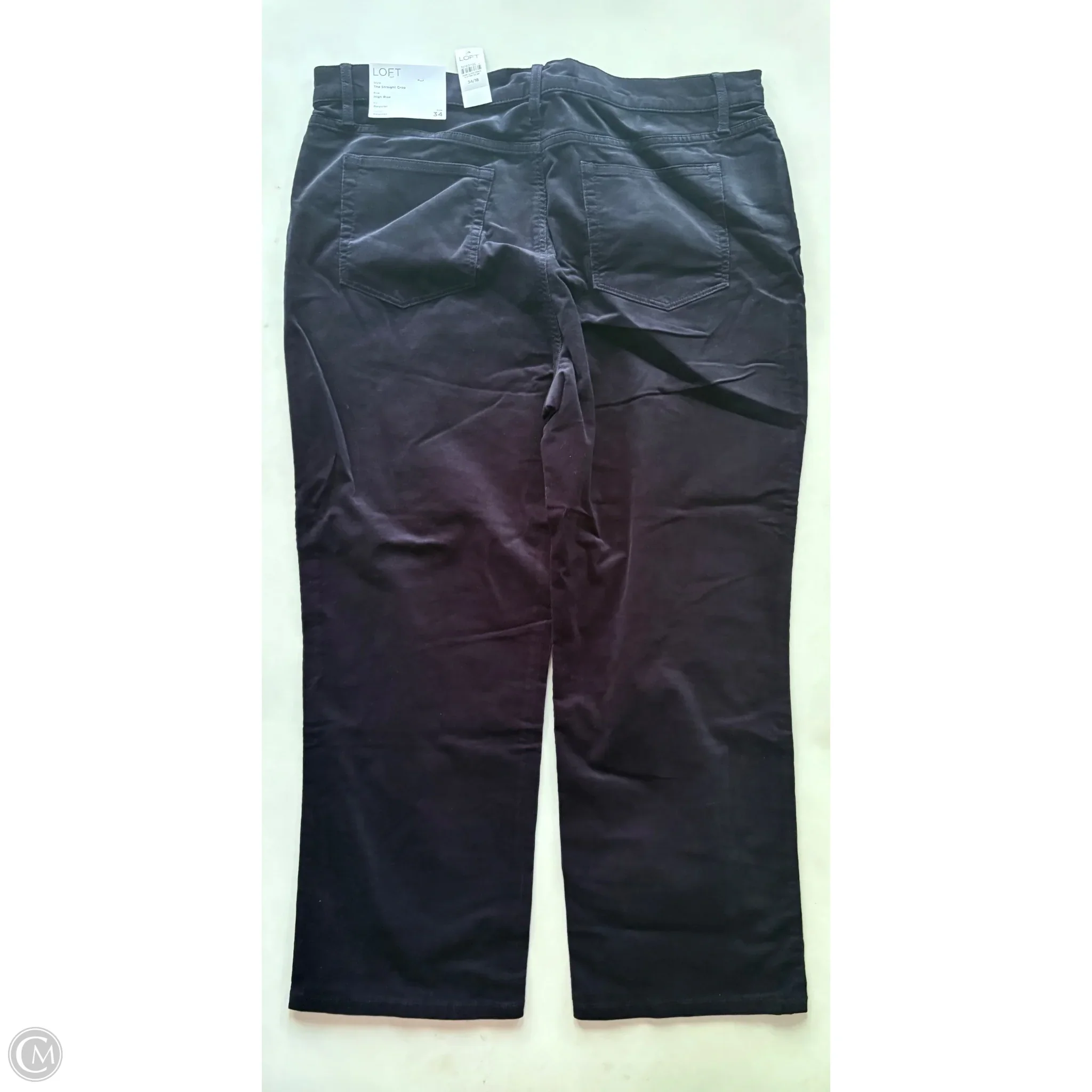 Pants Corduroy By Loft In Navy, Size: 18 - Image 2