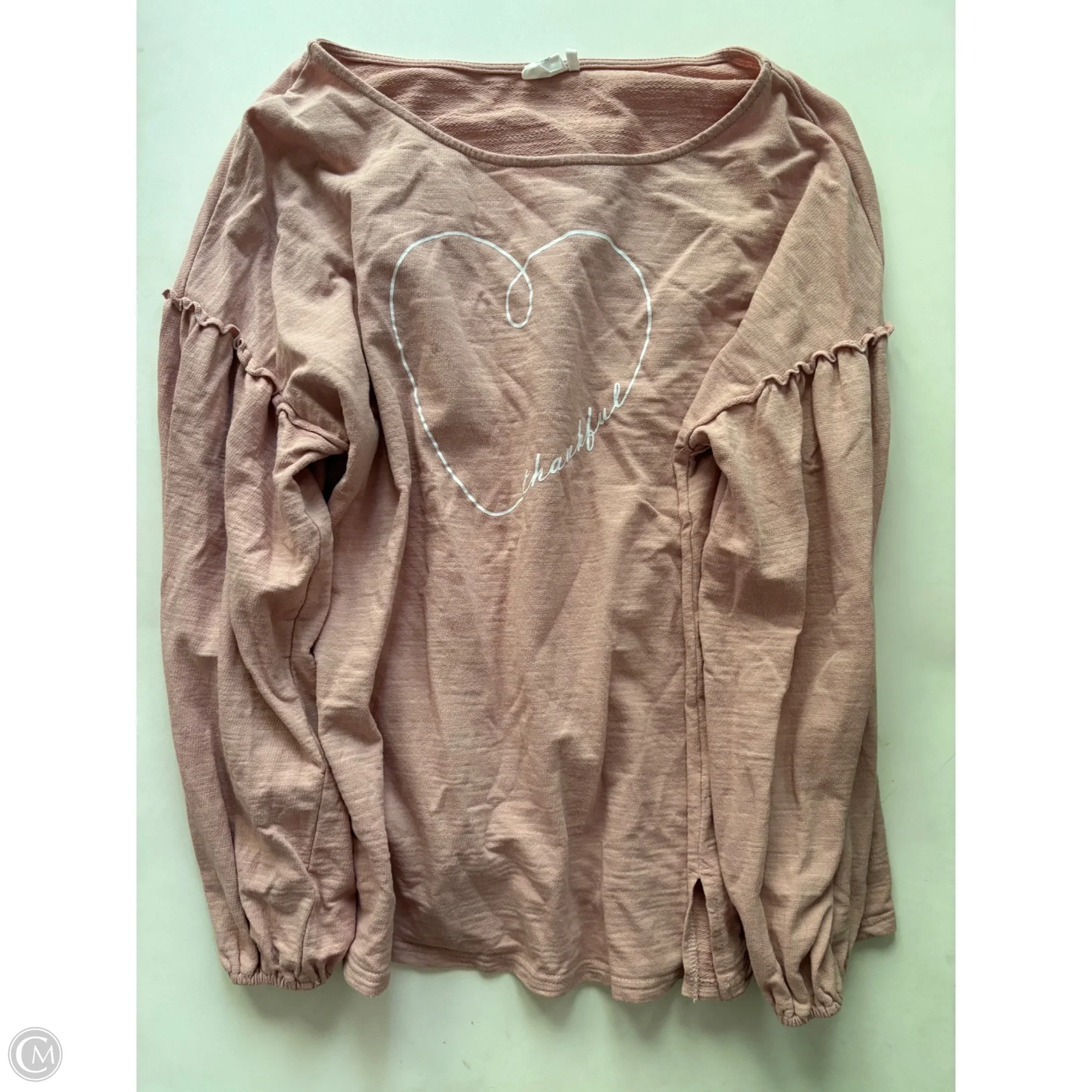 Top Long Sleeve By Simple In Pink, Size: 2x - Image 1