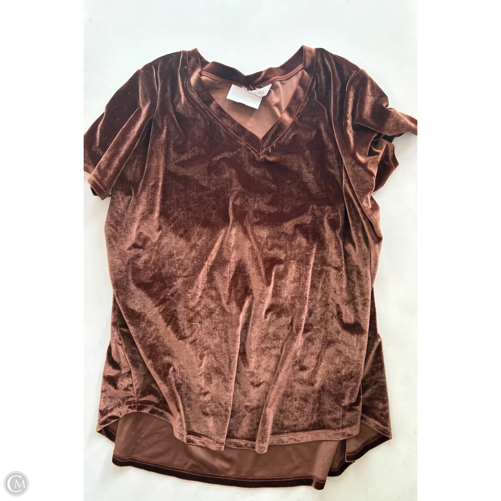 Top Short Sleeve By Amaryllis In Brown, Size: 2x - Image 1