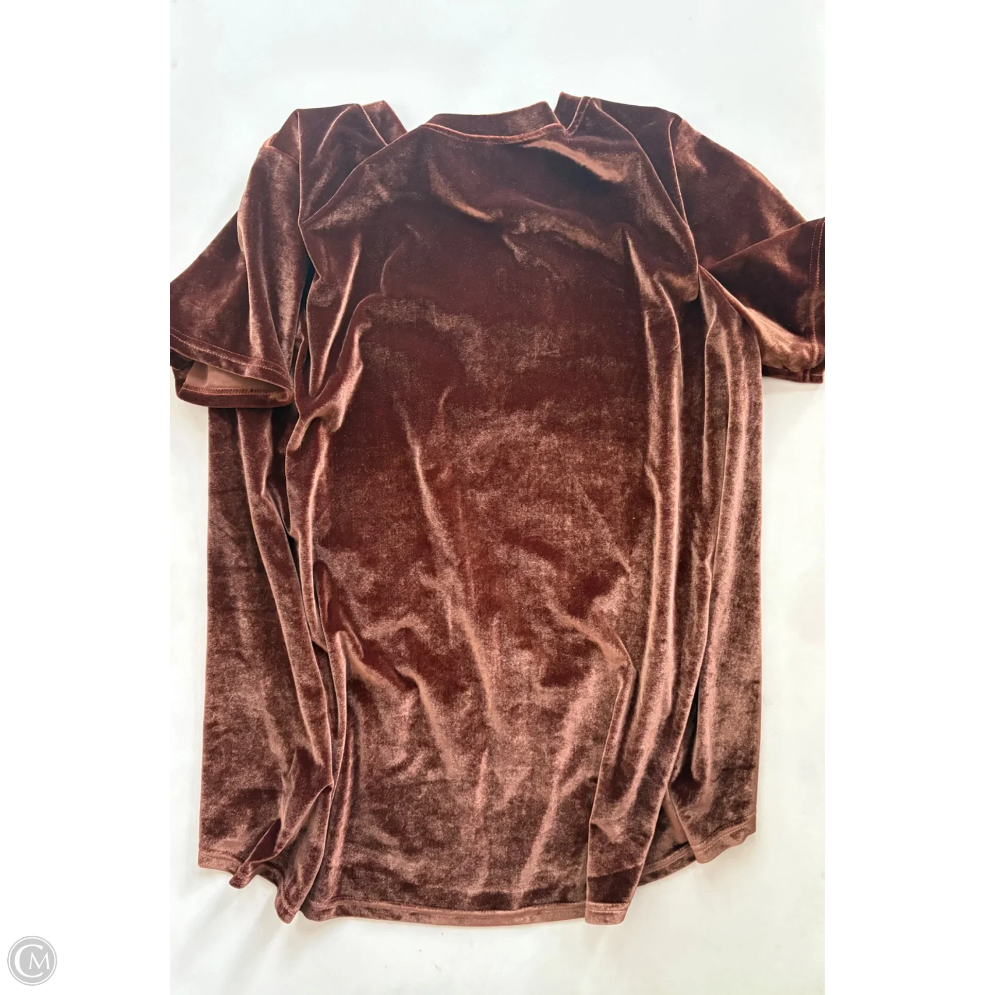 Top Short Sleeve By Amaryllis In Brown, Size: 2x - Image 2