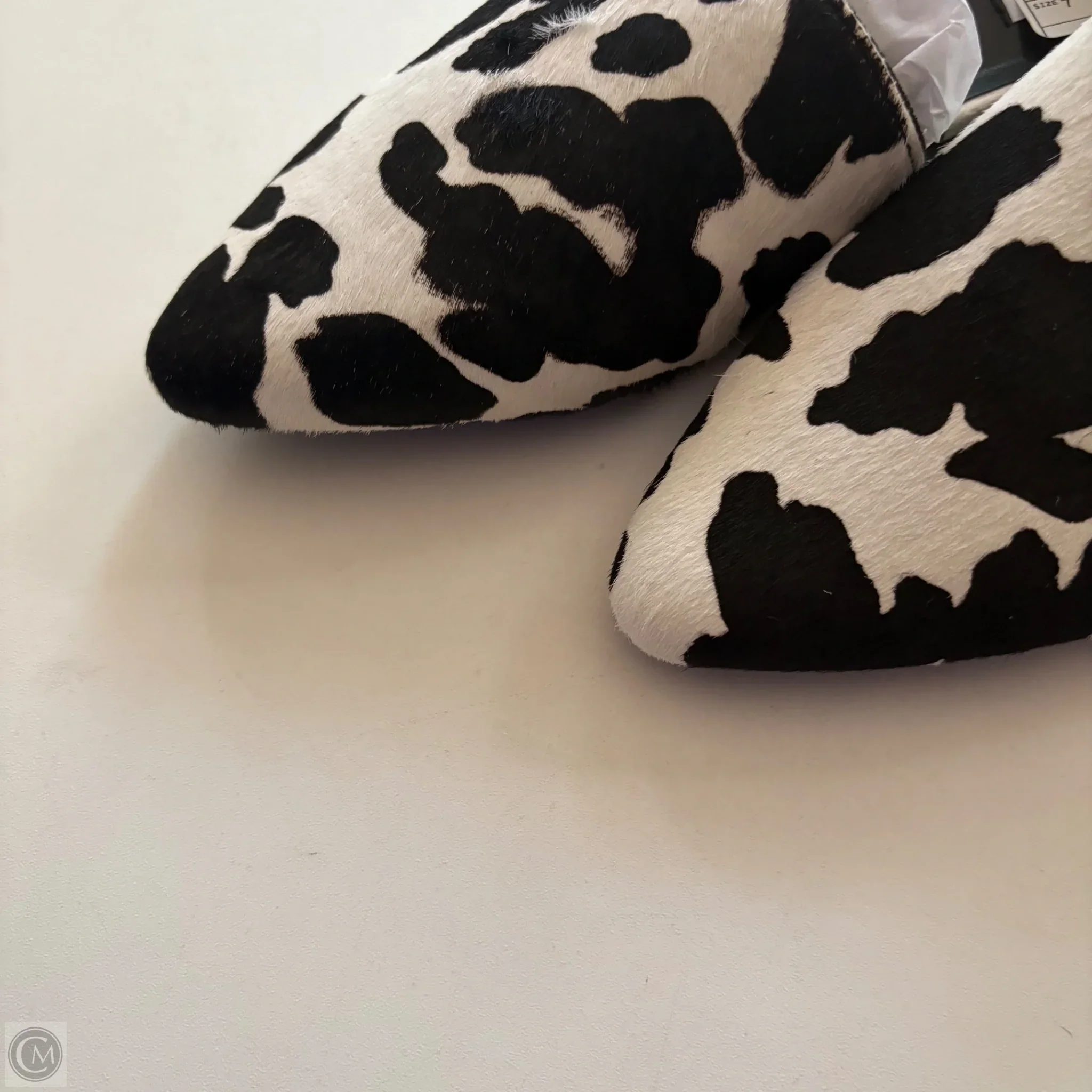 Shoes Flats By Steve Madden In Animal Print, Size: 7 - Image 3
