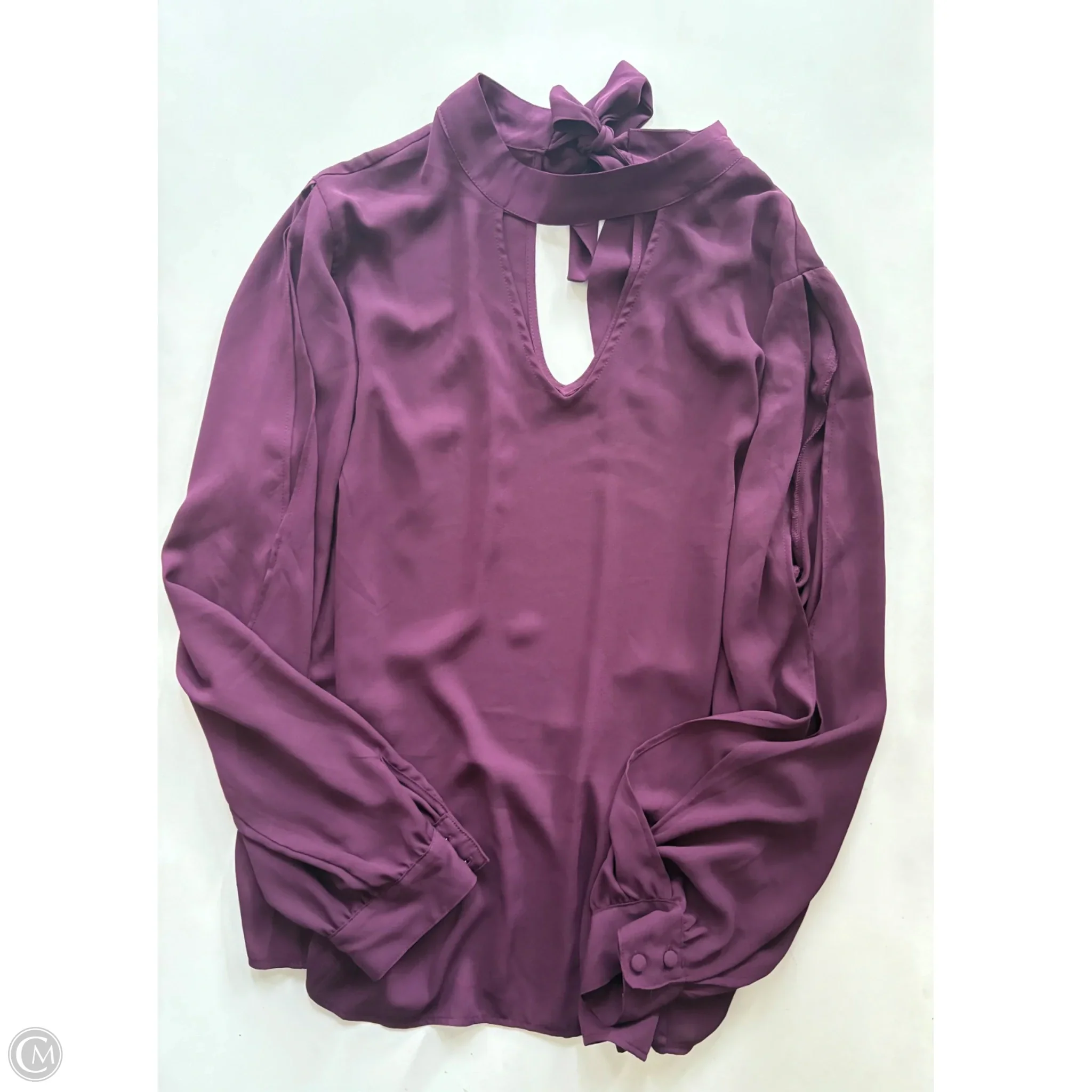 Blouse Long Sleeve By Torrid In Maroon, Size: 1x - Image 1