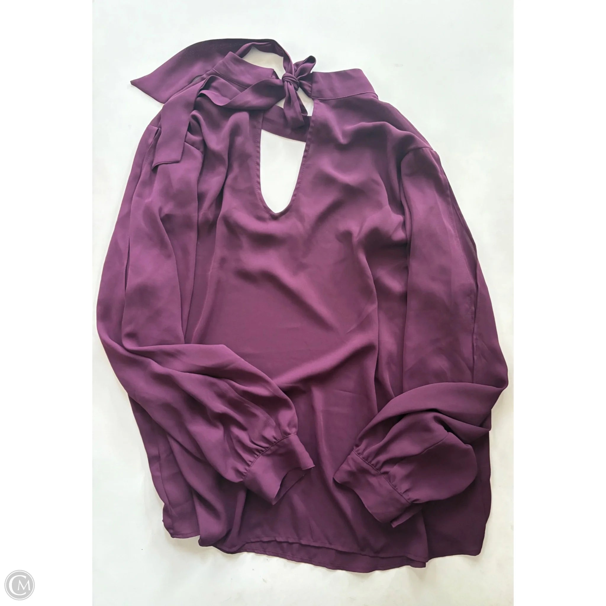 Blouse Long Sleeve By Torrid In Maroon, Size: 1x - Image 2
