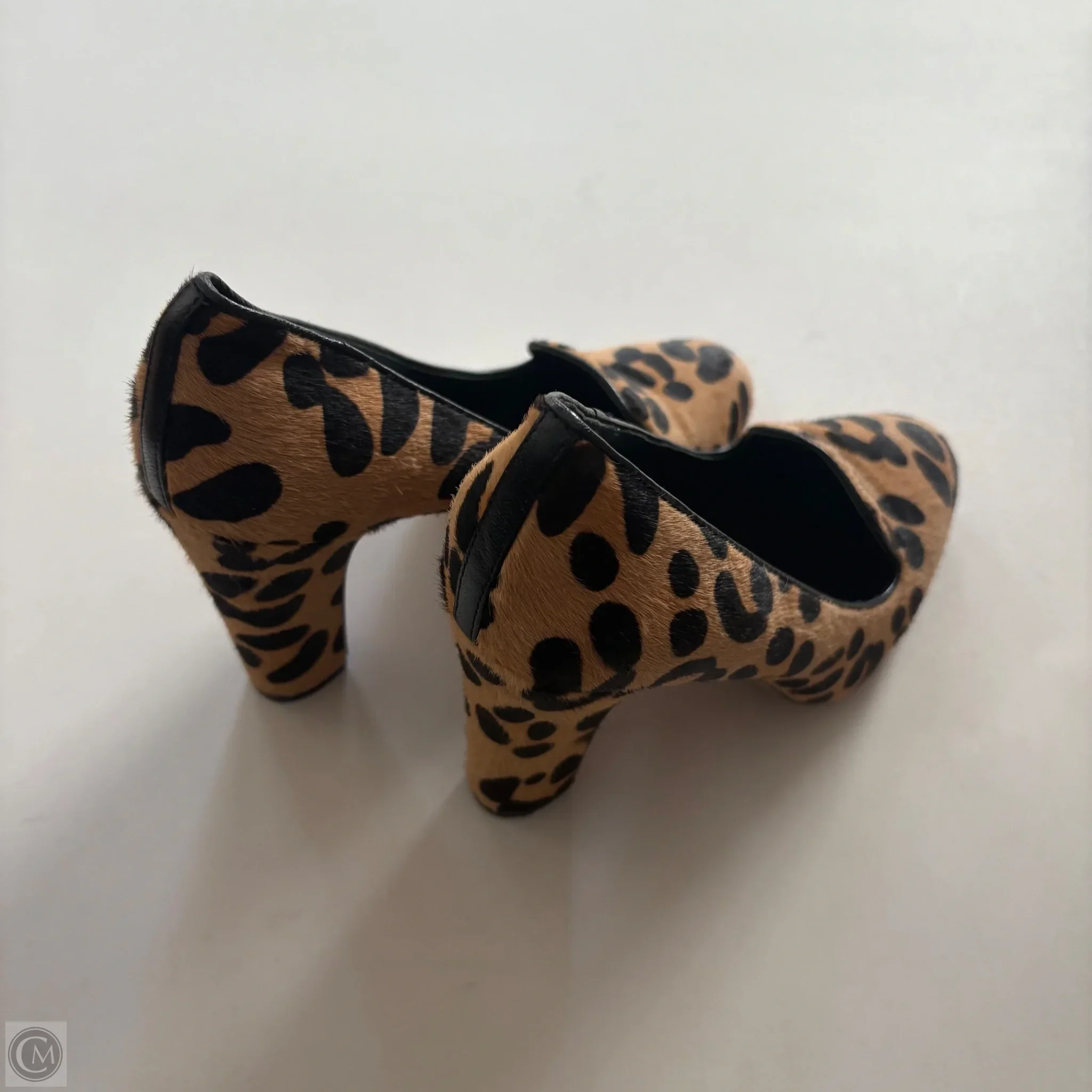Shoes Heels Kitten By Via Spiga In Animal Print, Size: 7 - Image 2