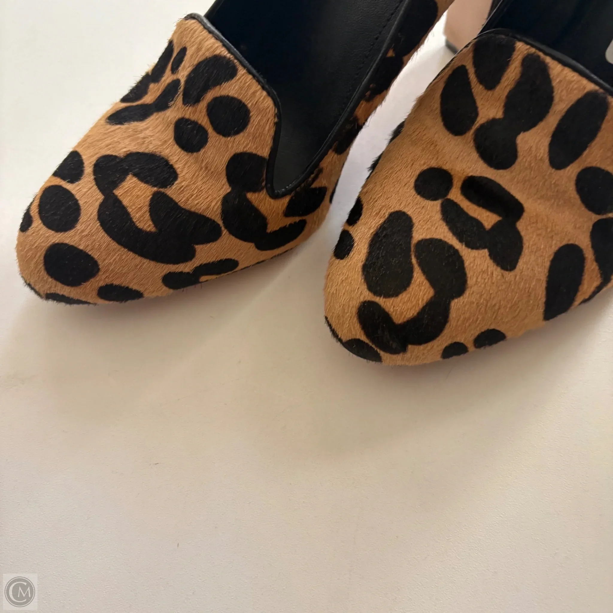 Shoes Heels Kitten By Via Spiga In Animal Print, Size: 7 - Image 3