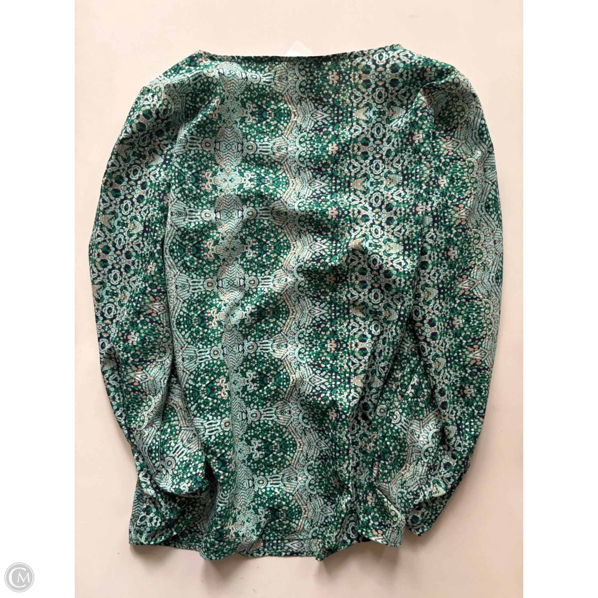 Blouse Long Sleeve By Limited In Green, Size: M - Image 2