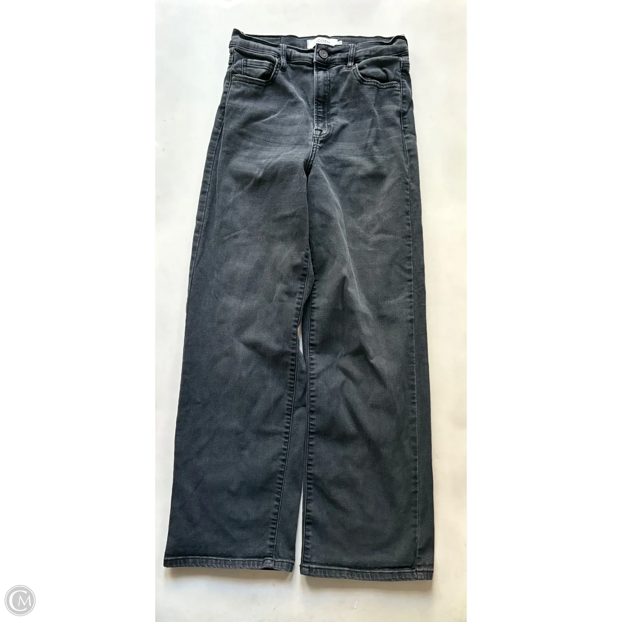 Jeans Wide Leg By Hidden In Black, Size: 8 - Image 1