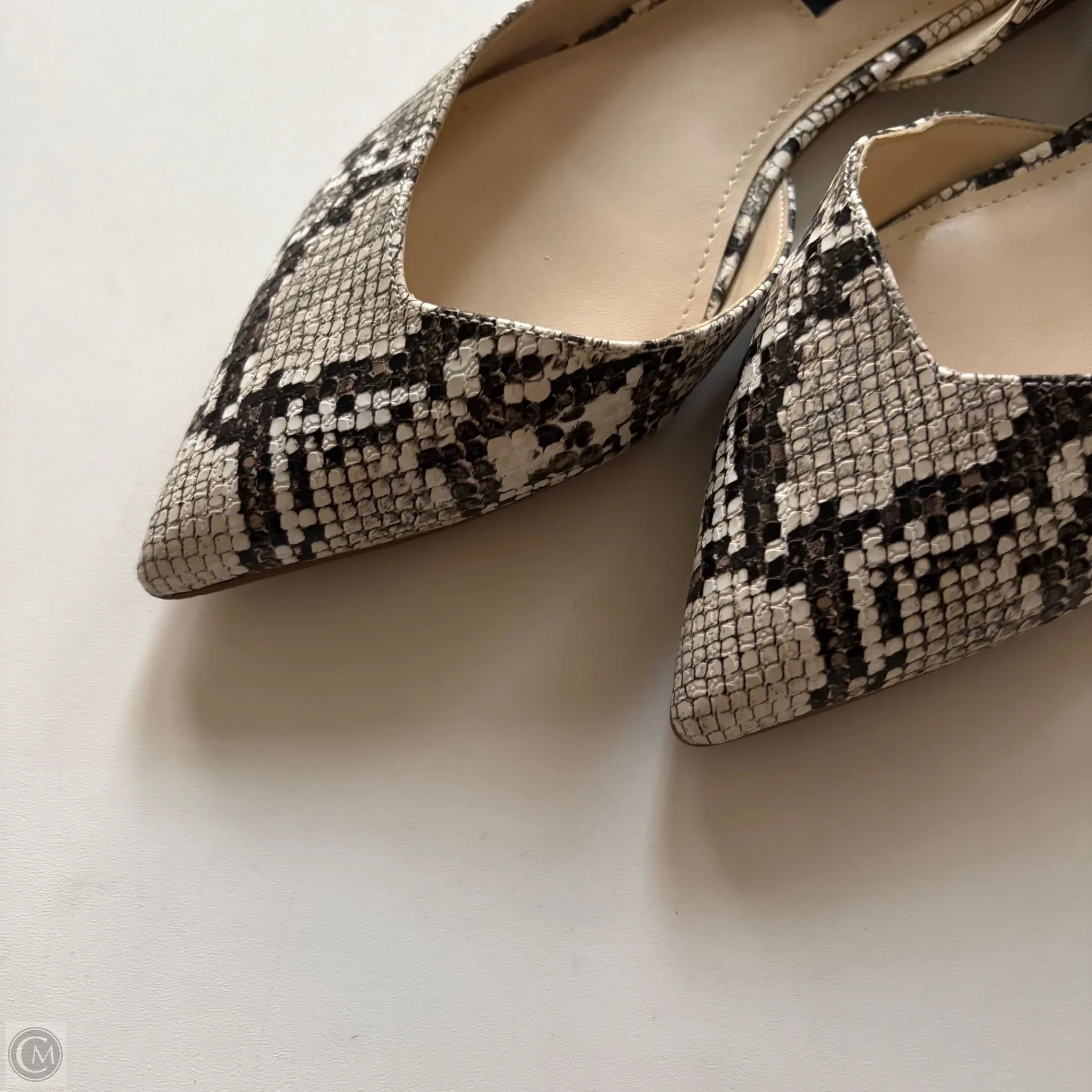 Shoes Flats By Nine West In Animal Print, Size: 8.5 - Image 3