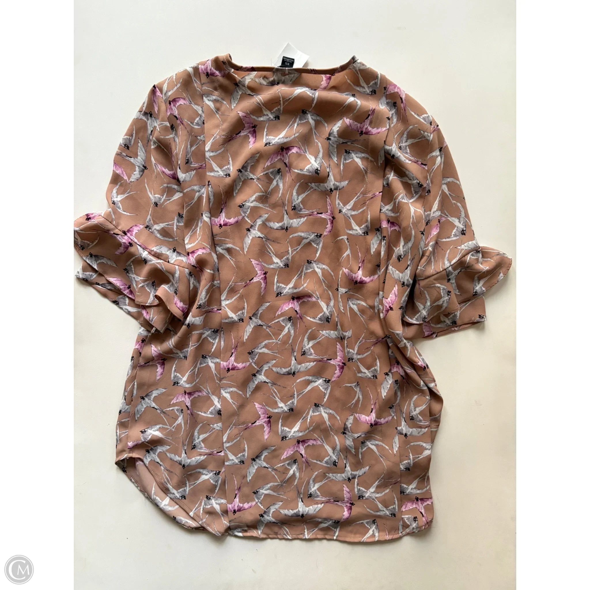 Blouse Short Sleeve By Ann Taylor In Brown, Size: Xs - Image 2