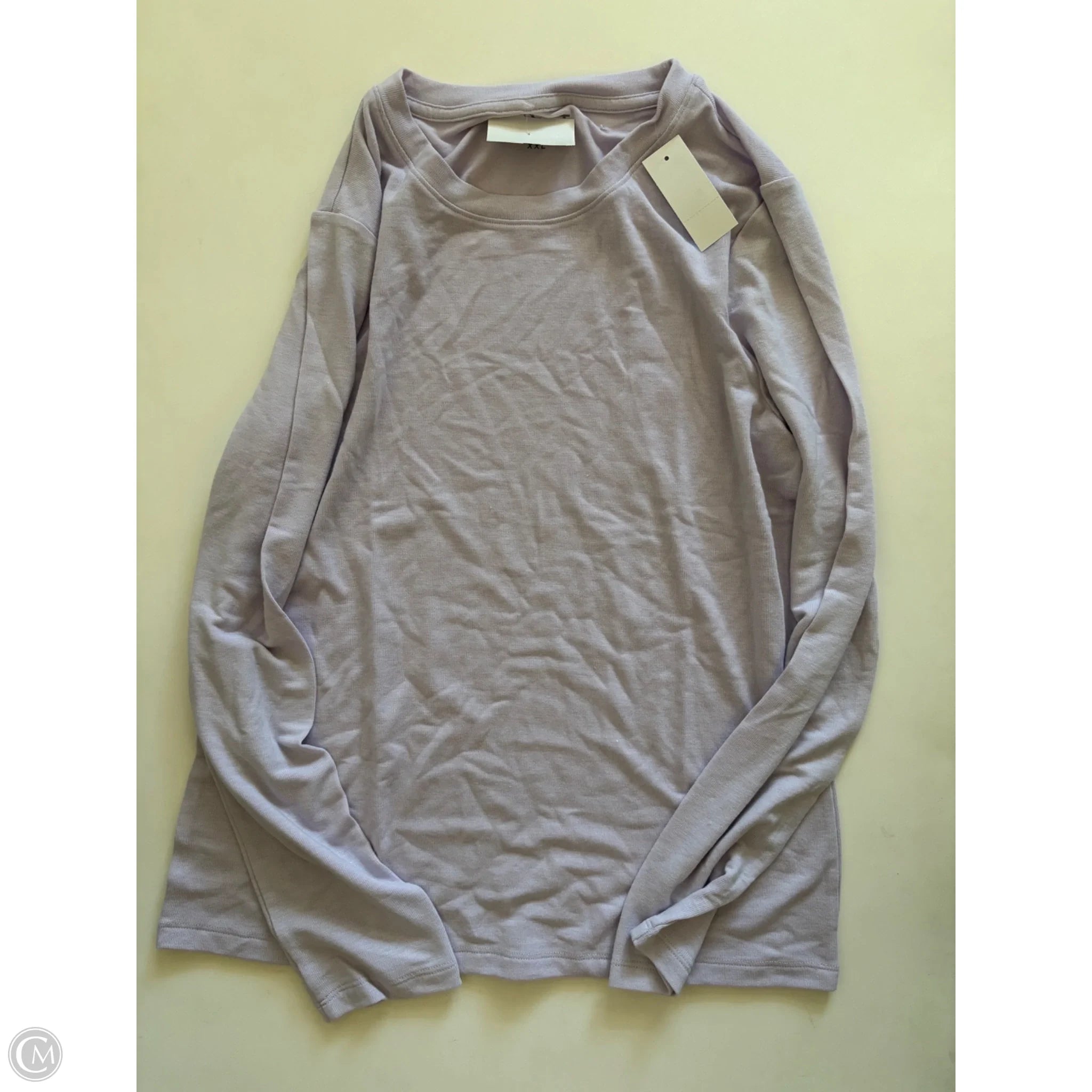 Top Long Sleeve By Loft In Purple, Size: 2x - Image 1
