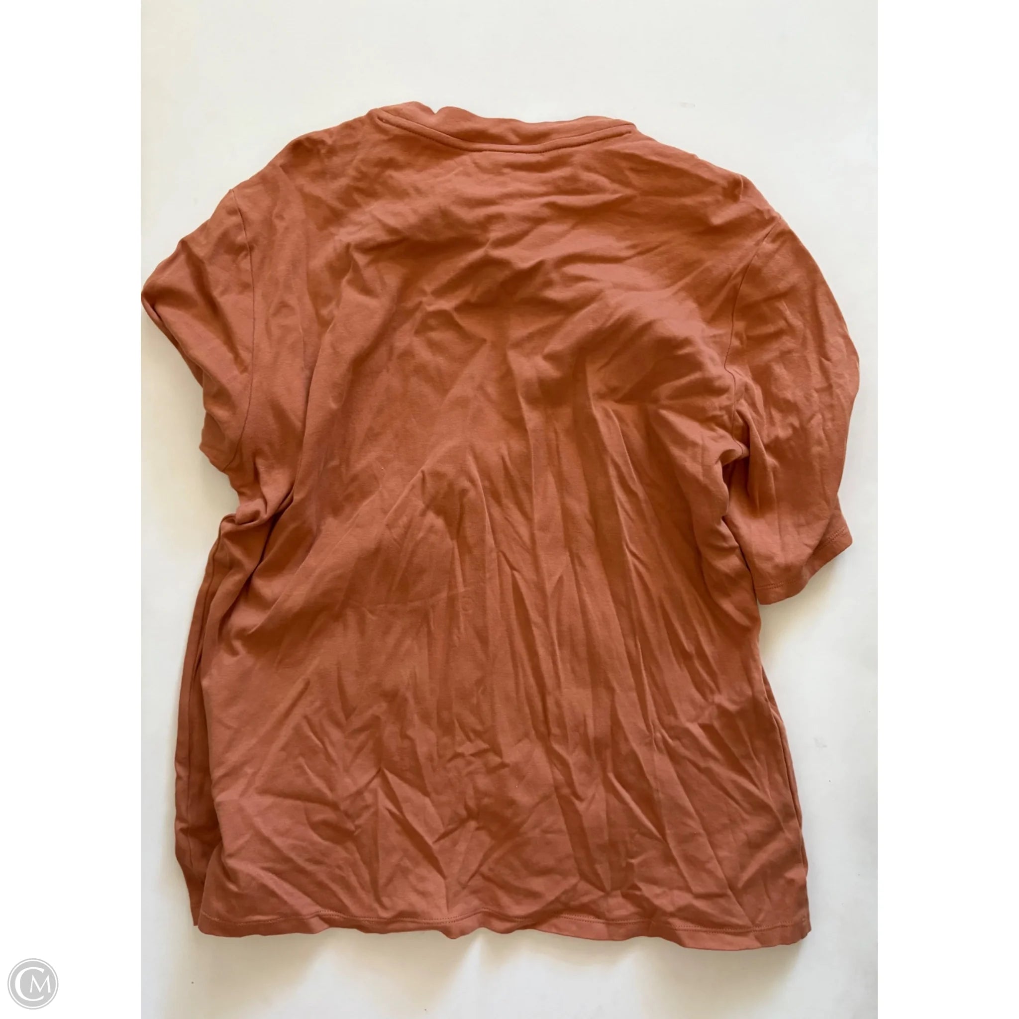 Top Short Sleeve By Ann Taylor In Orange, Size: 2x - Image 2
