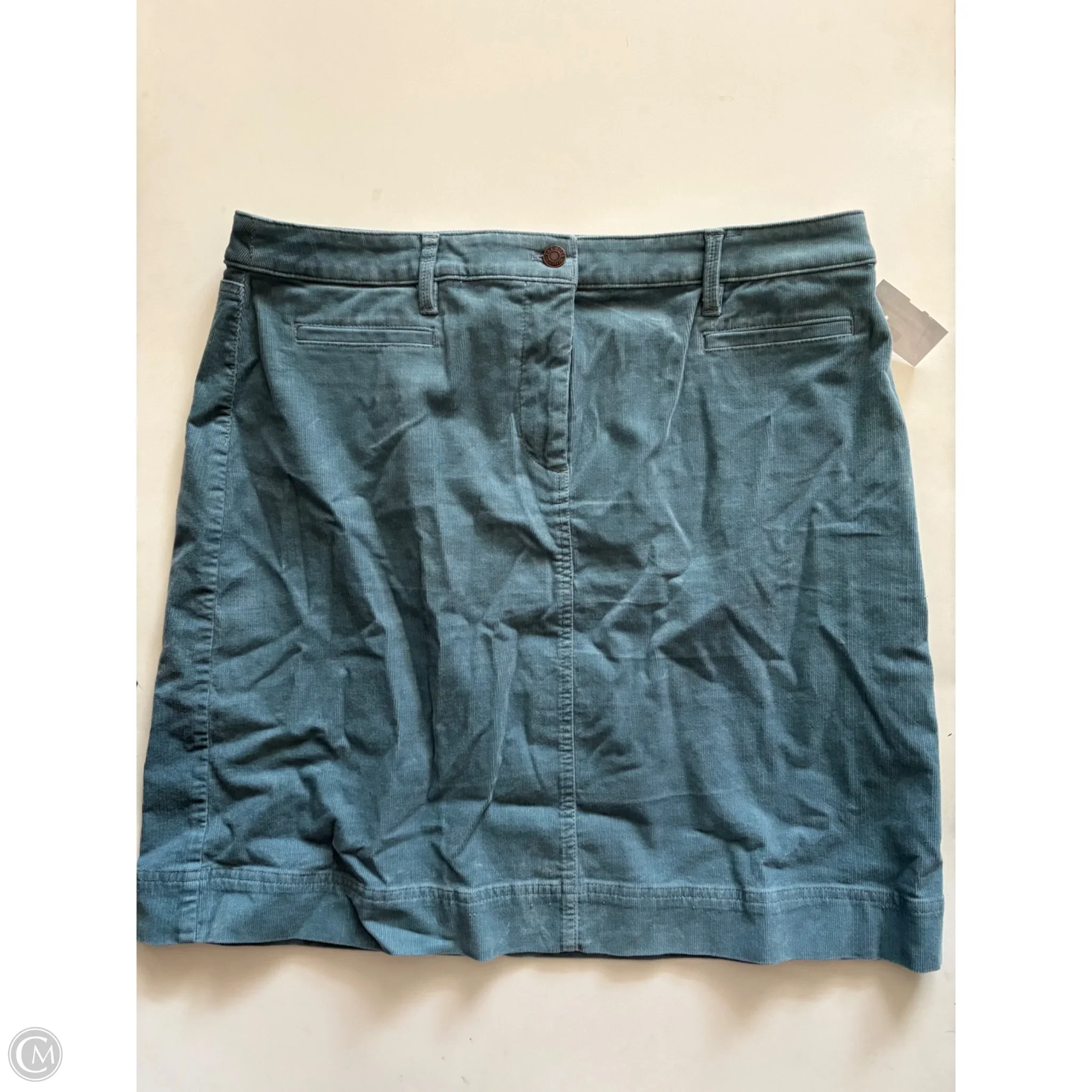 Skirt Mini & Short By Talbots In Blue, Size: 16 - Image 1