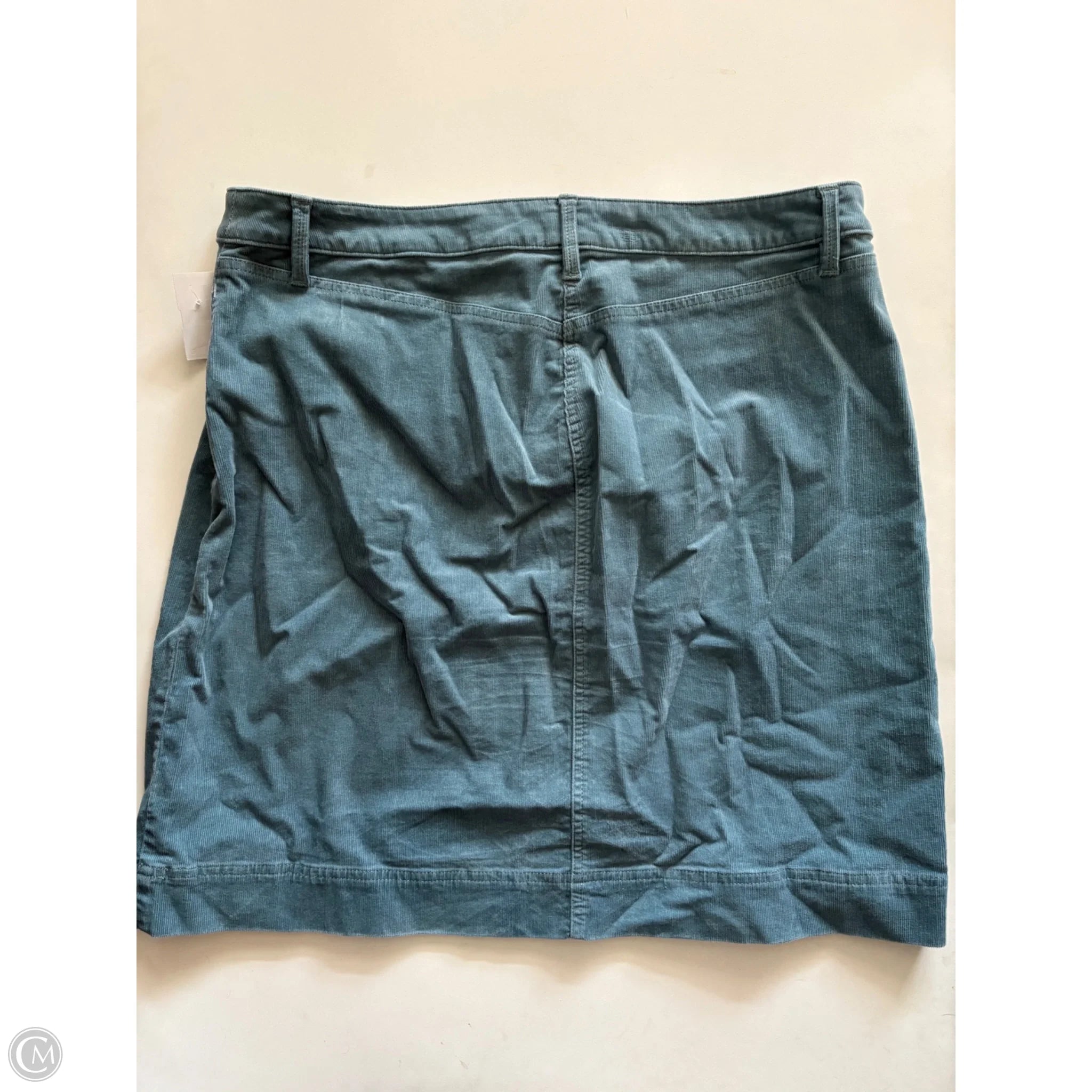 Skirt Mini & Short By Talbots In Blue, Size: 16 - Image 2