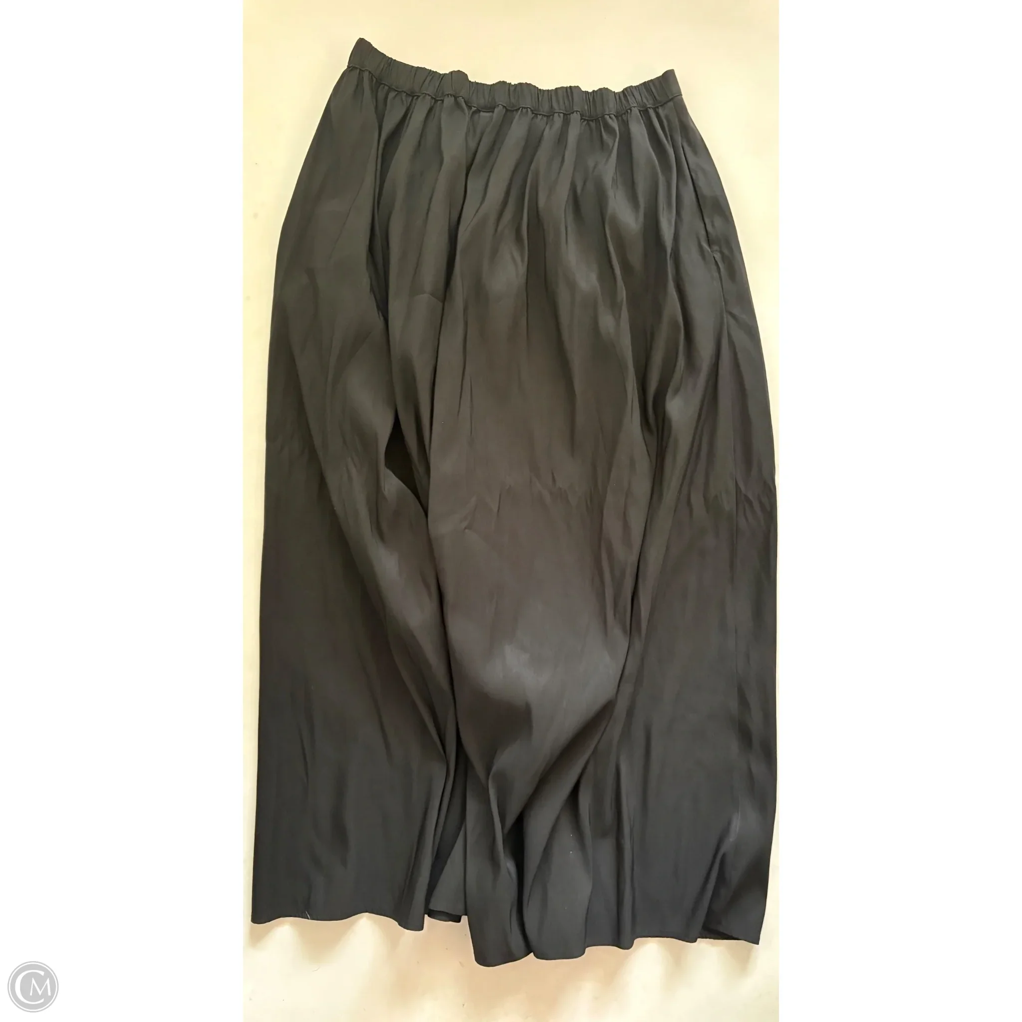 Skirt Maxi By A New Day In Black, Size: M - Image 2