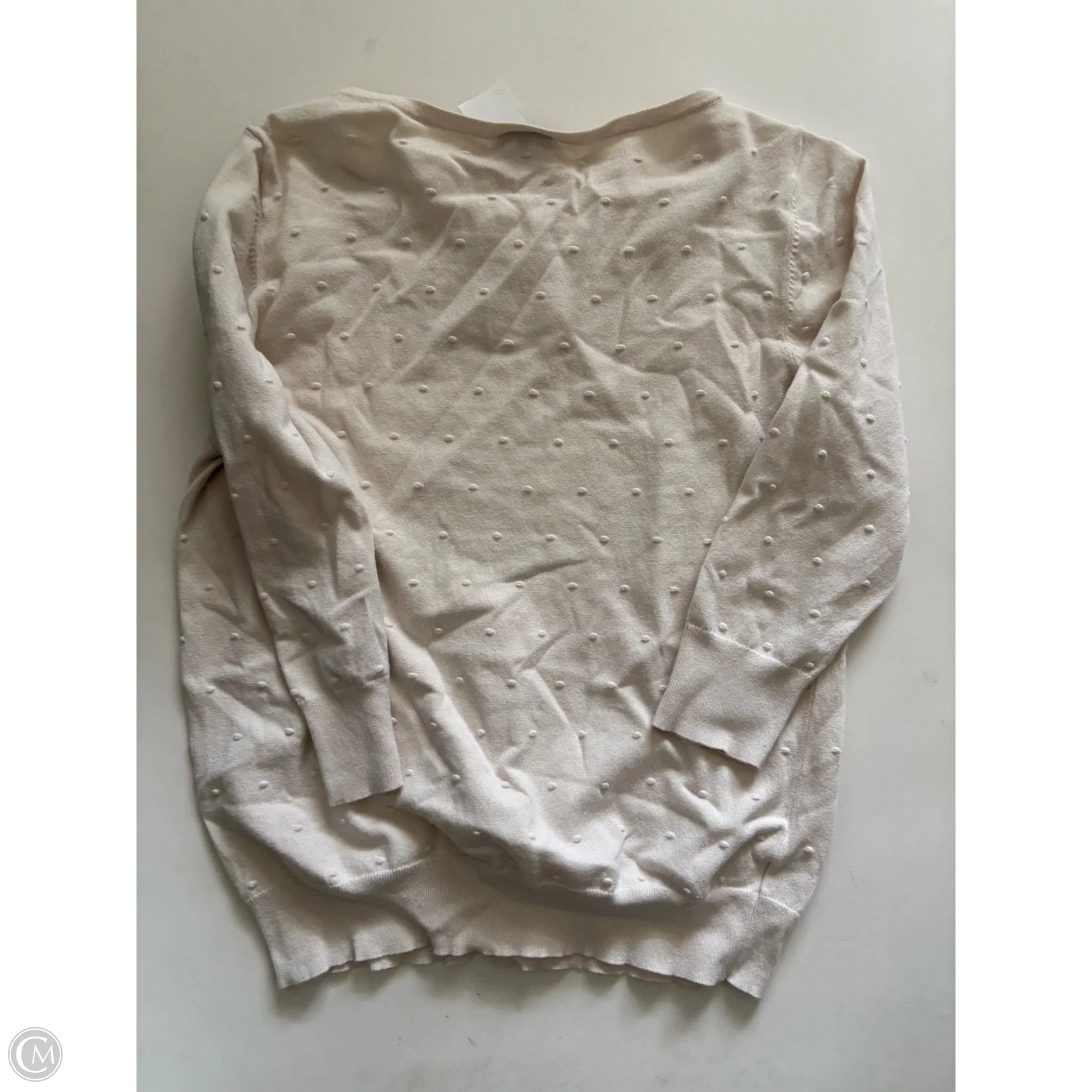Sweater By Ann Taylor In Cream, Size: L - Image 2