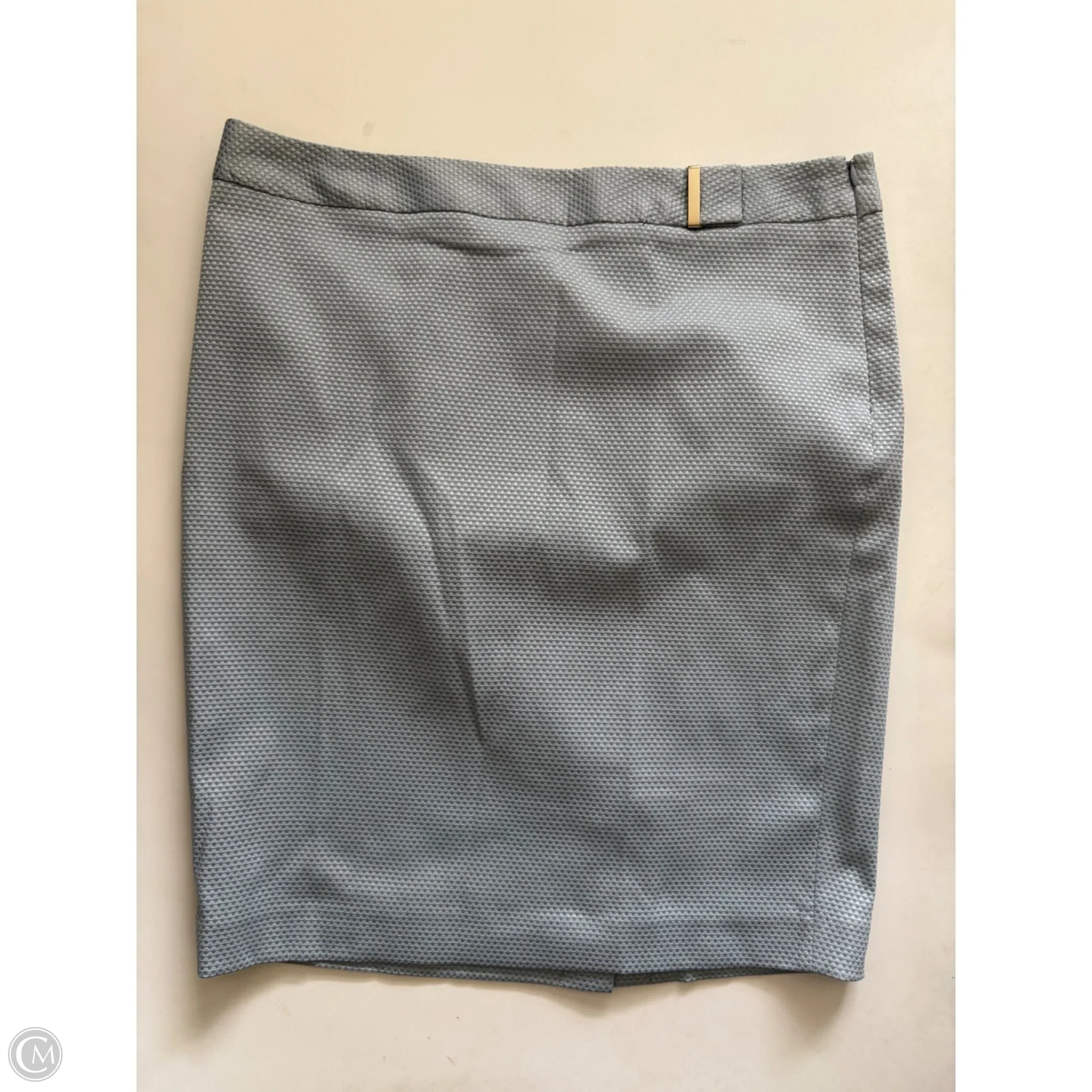 Skirt Midi By Limited In Blue, Size: 14 - Image 1