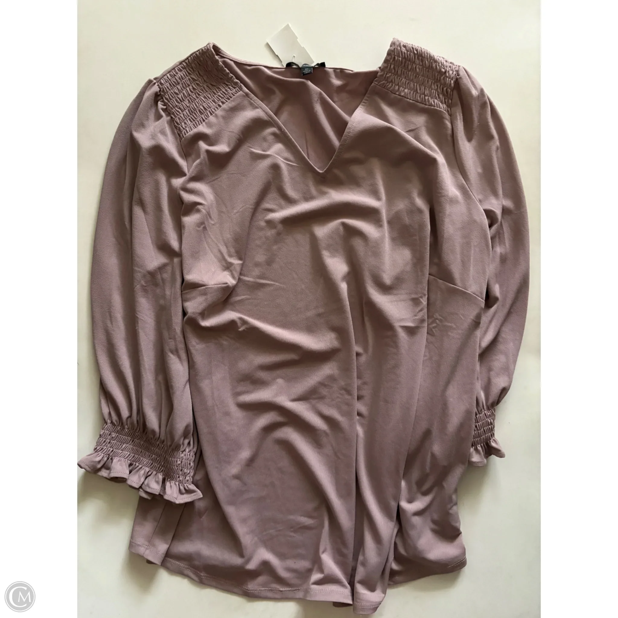 Blouse Long Sleeve By Adrianna Papell In Taupe, Size: 2x - Image 1