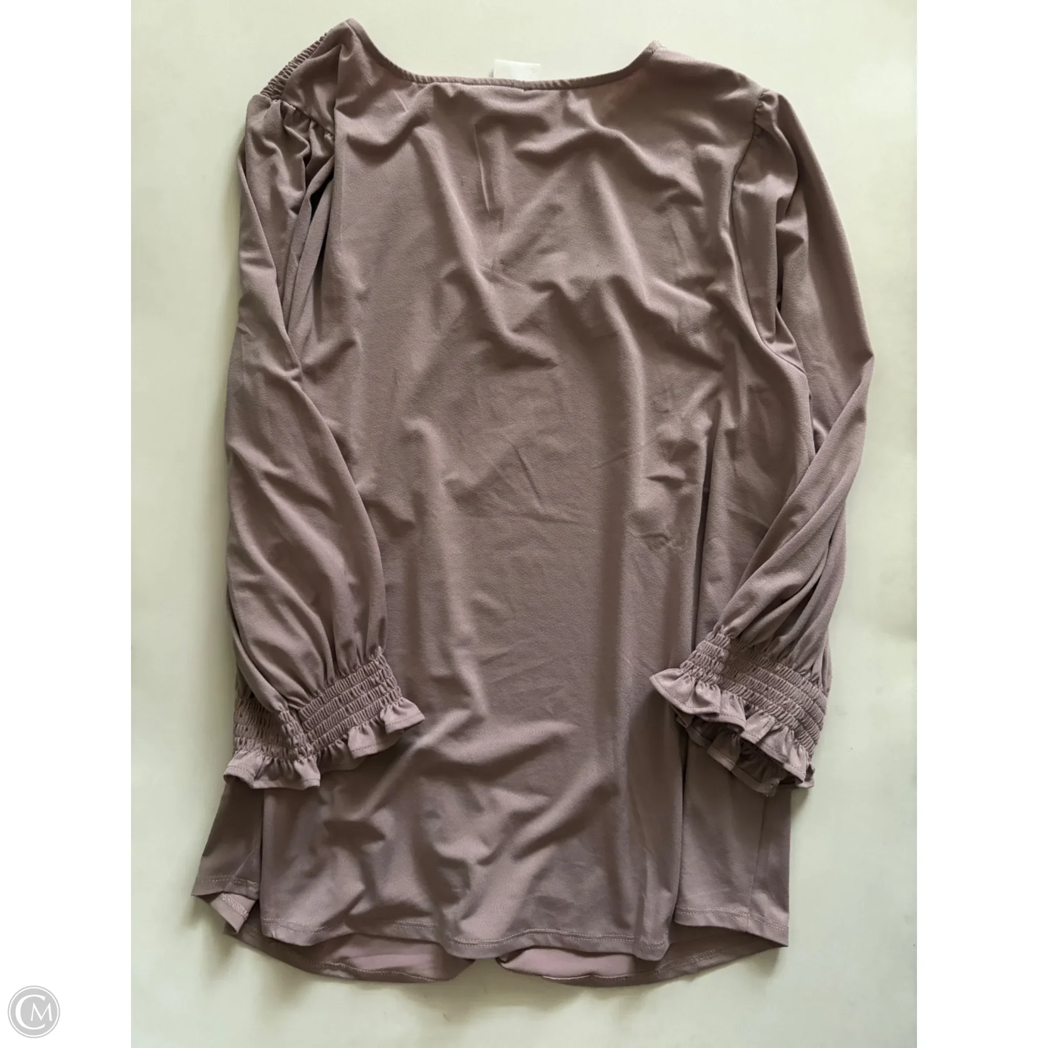 Blouse Long Sleeve By Adrianna Papell In Taupe, Size: 2x - Image 2