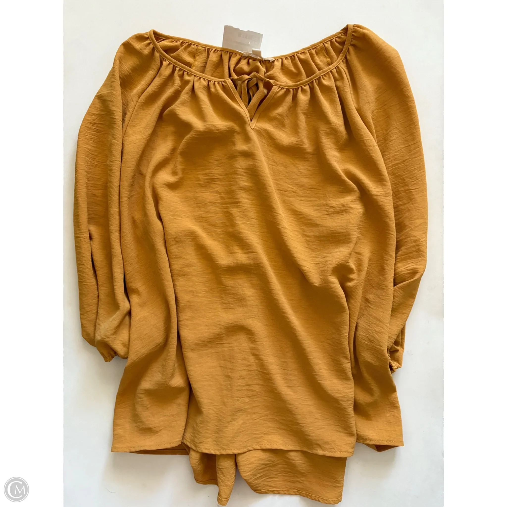 Blouse Long Sleeve By Como Blu In Brown, Size: 2x - Image 1