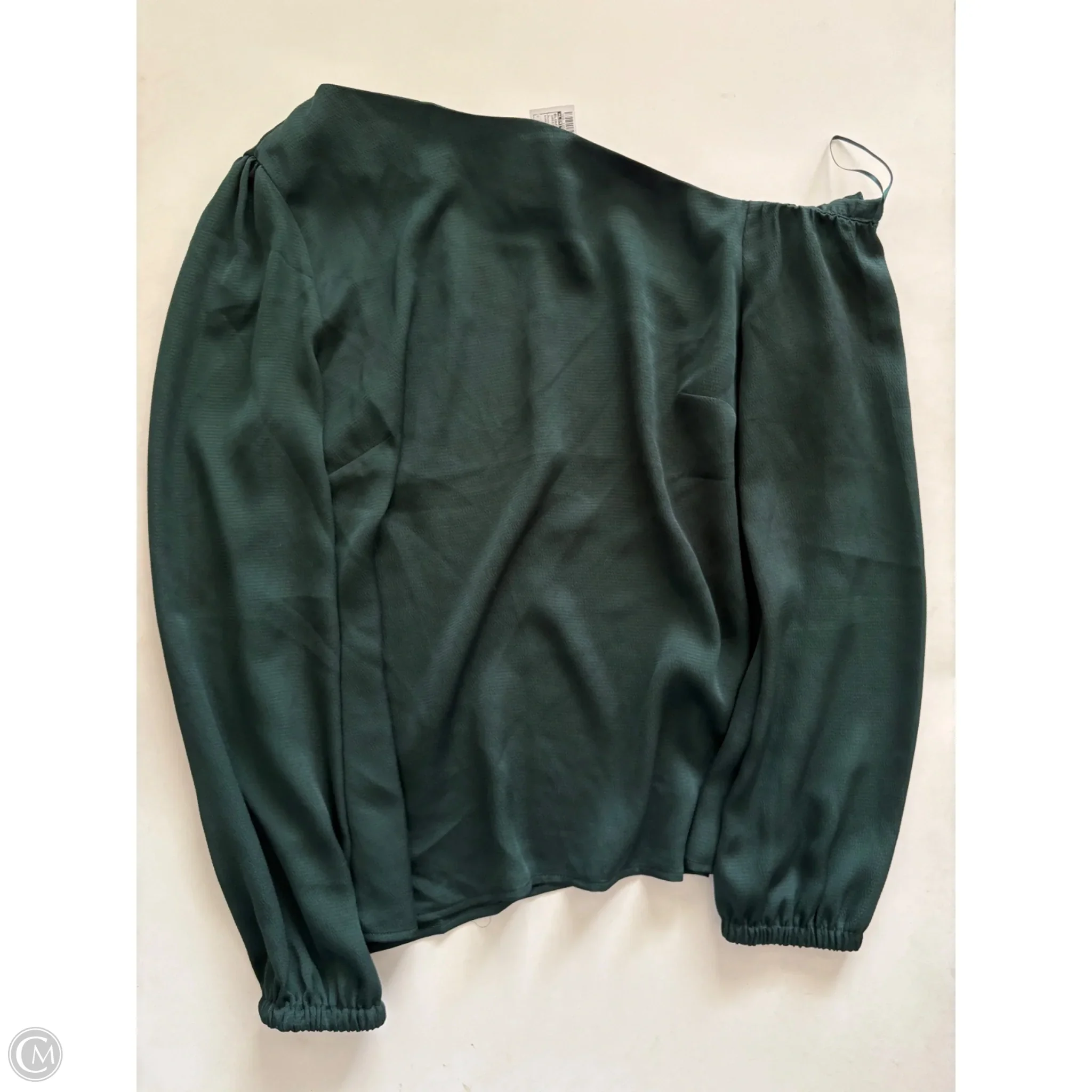 Blouse Long Sleeve By Limited In Green, Size: L - Image 1