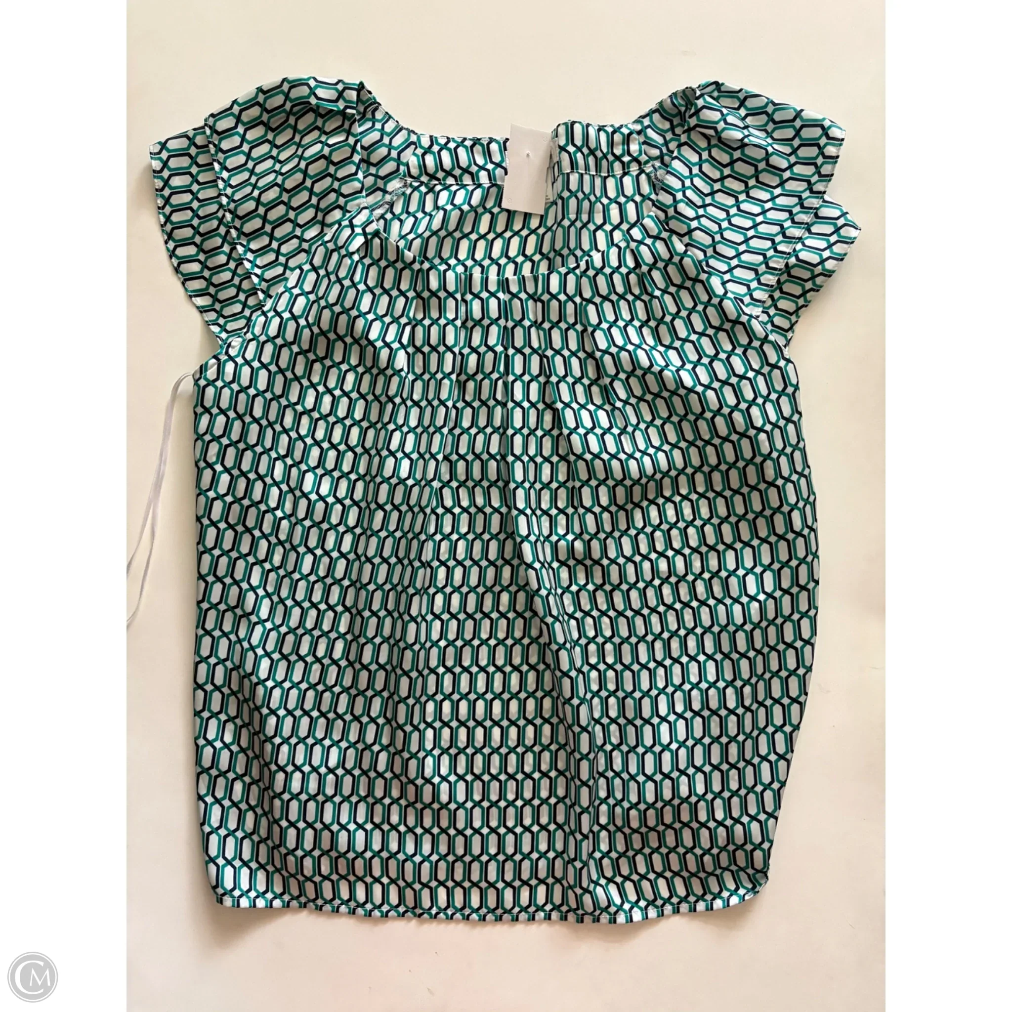 Blouse Sleeveless By Dressbarn In Blue & Green, Size: L - Image 1