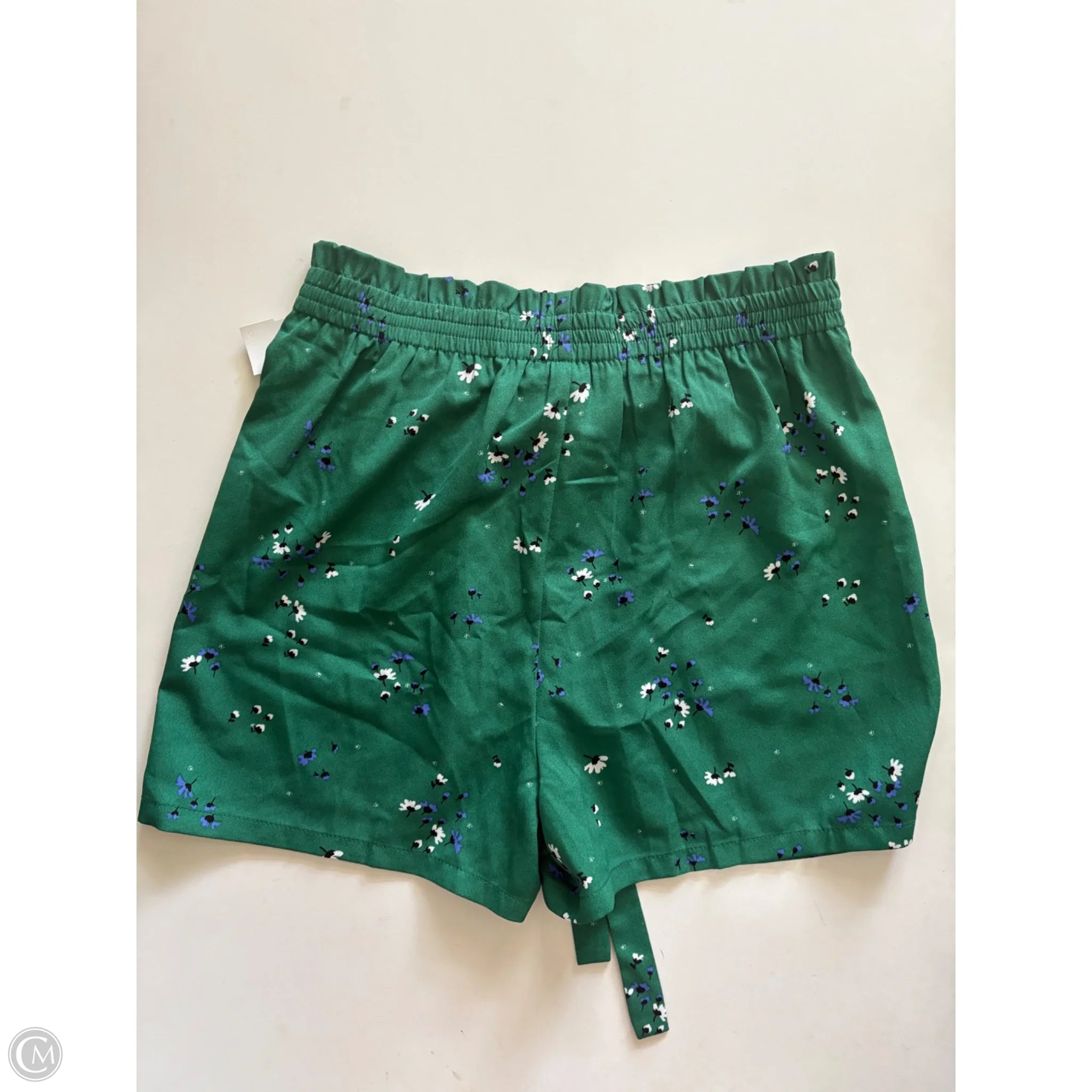 Shorts By Dr2 In Green, Size: M - Image 2