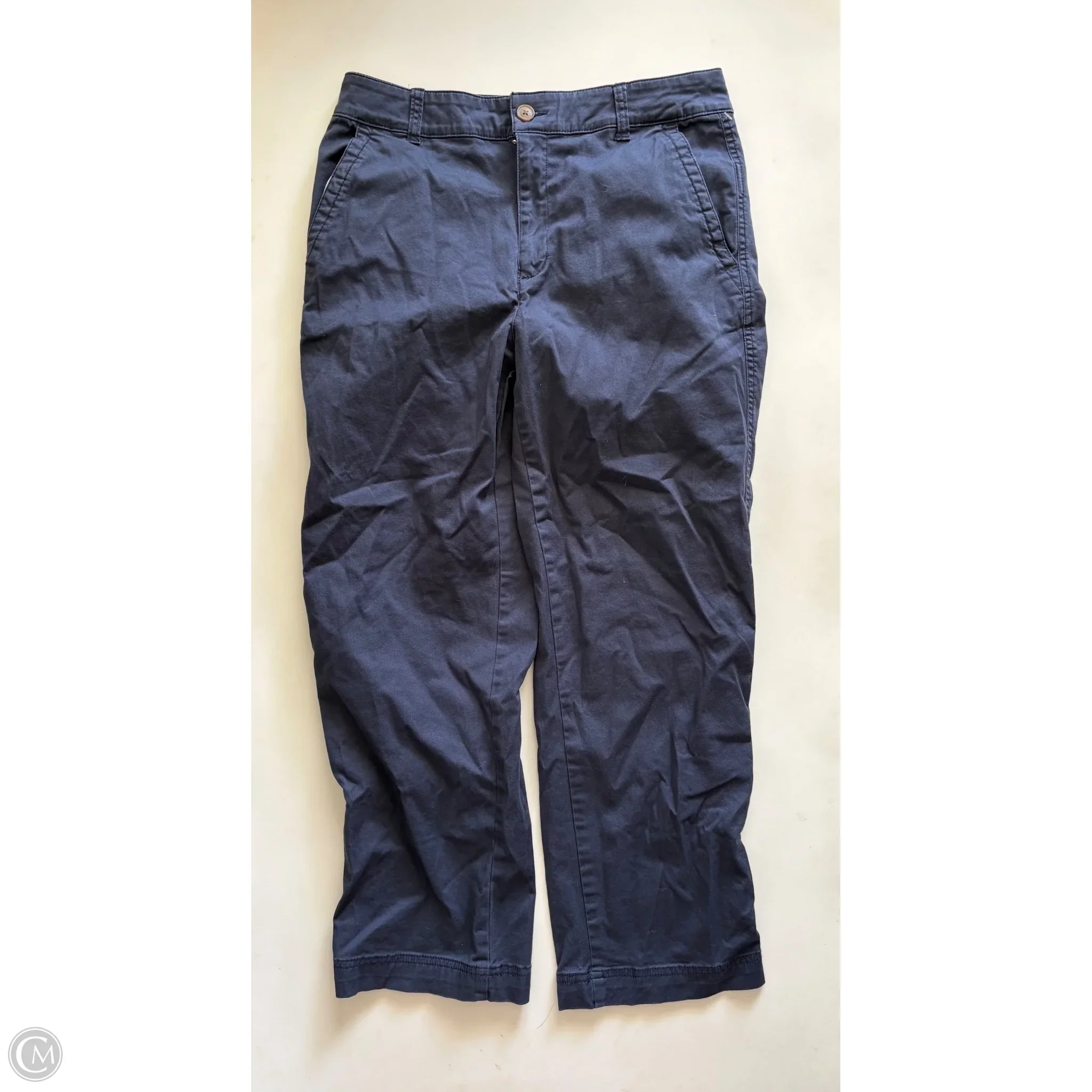 Pants Chinos & Khakis By Gap In Blue, Size: 8 - Image 1
