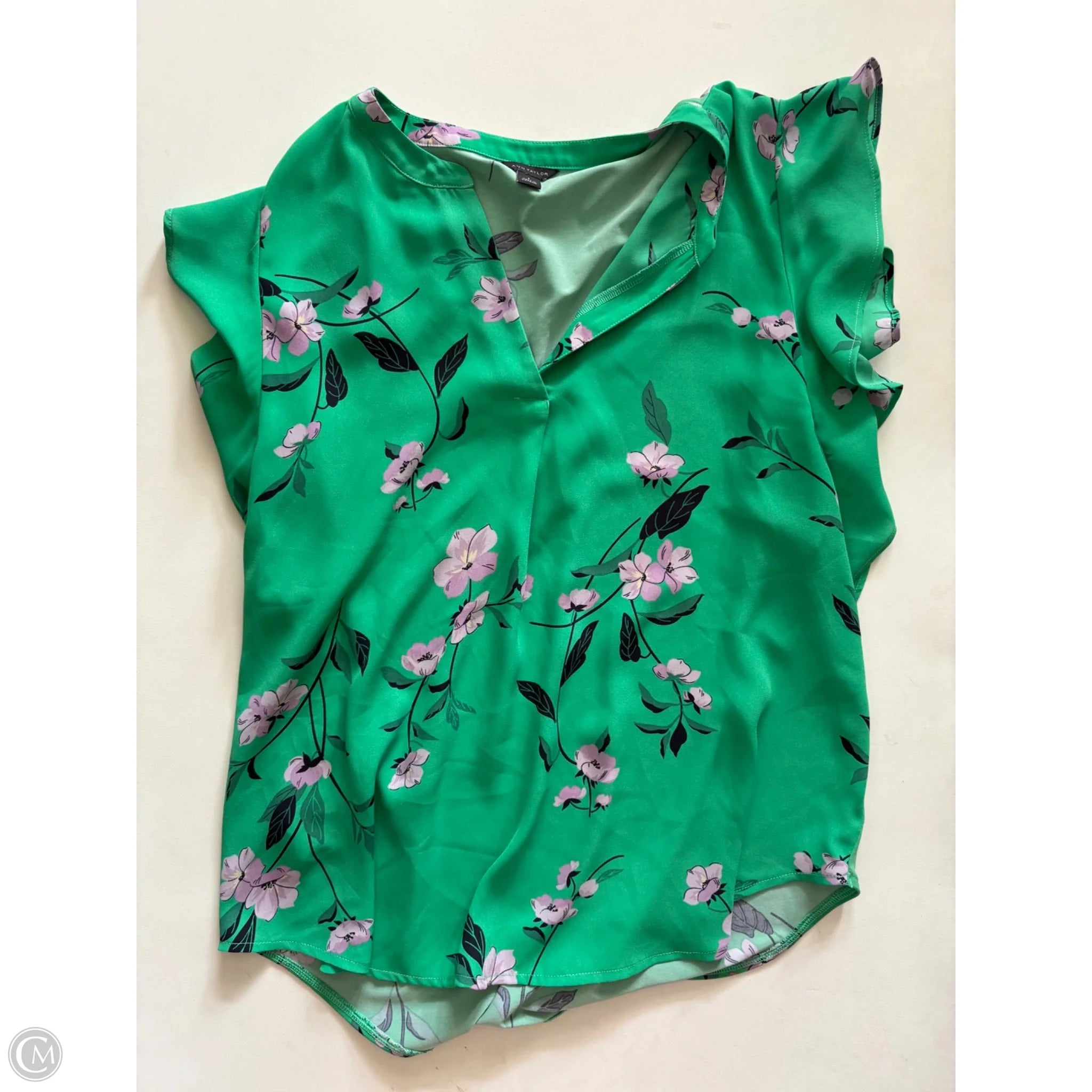 Blouse Short Sleeve By Ann Taylor In Green, Size: S - Image 1