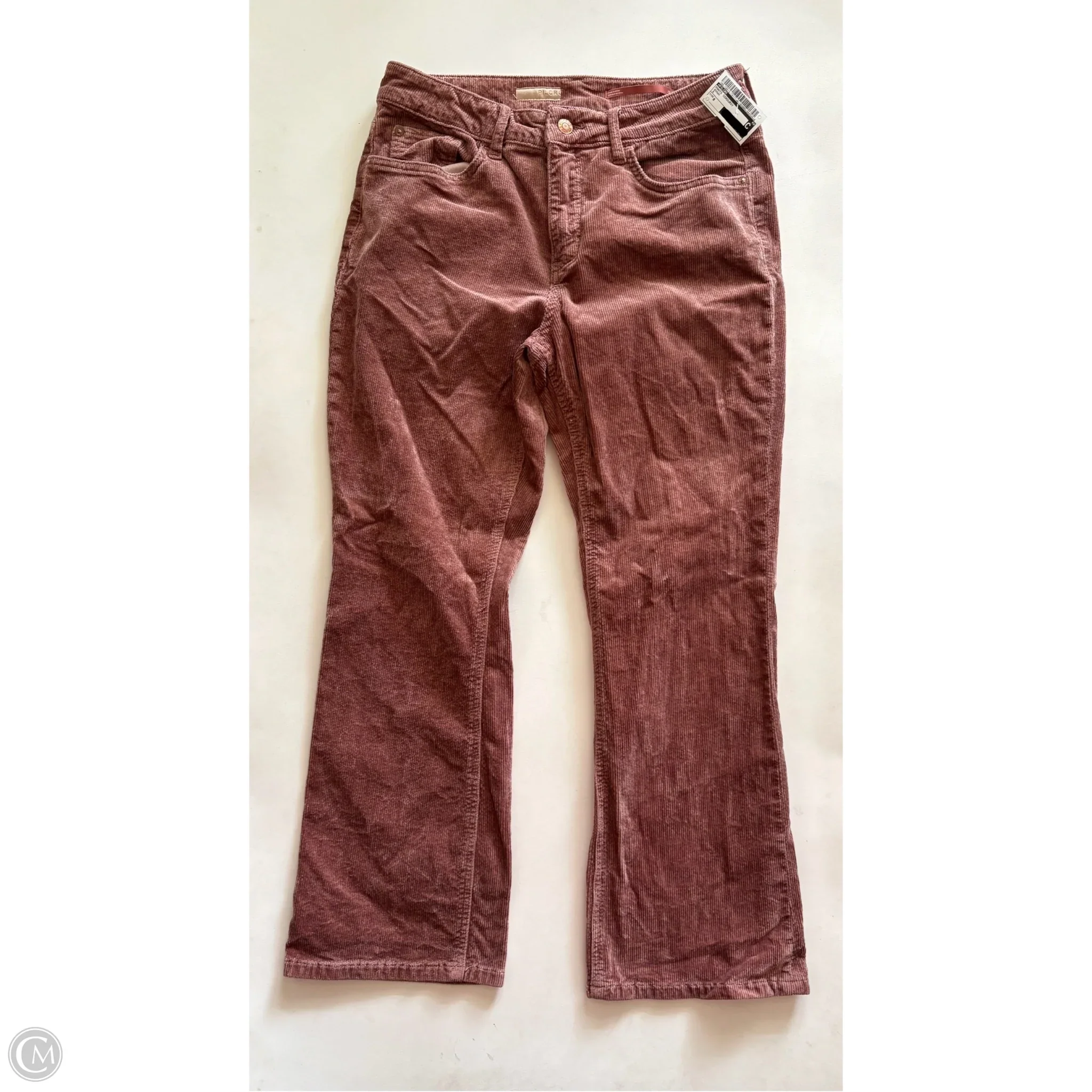 Pants Corduroy By Pilcro In Brown, Size: 8 - Image 1