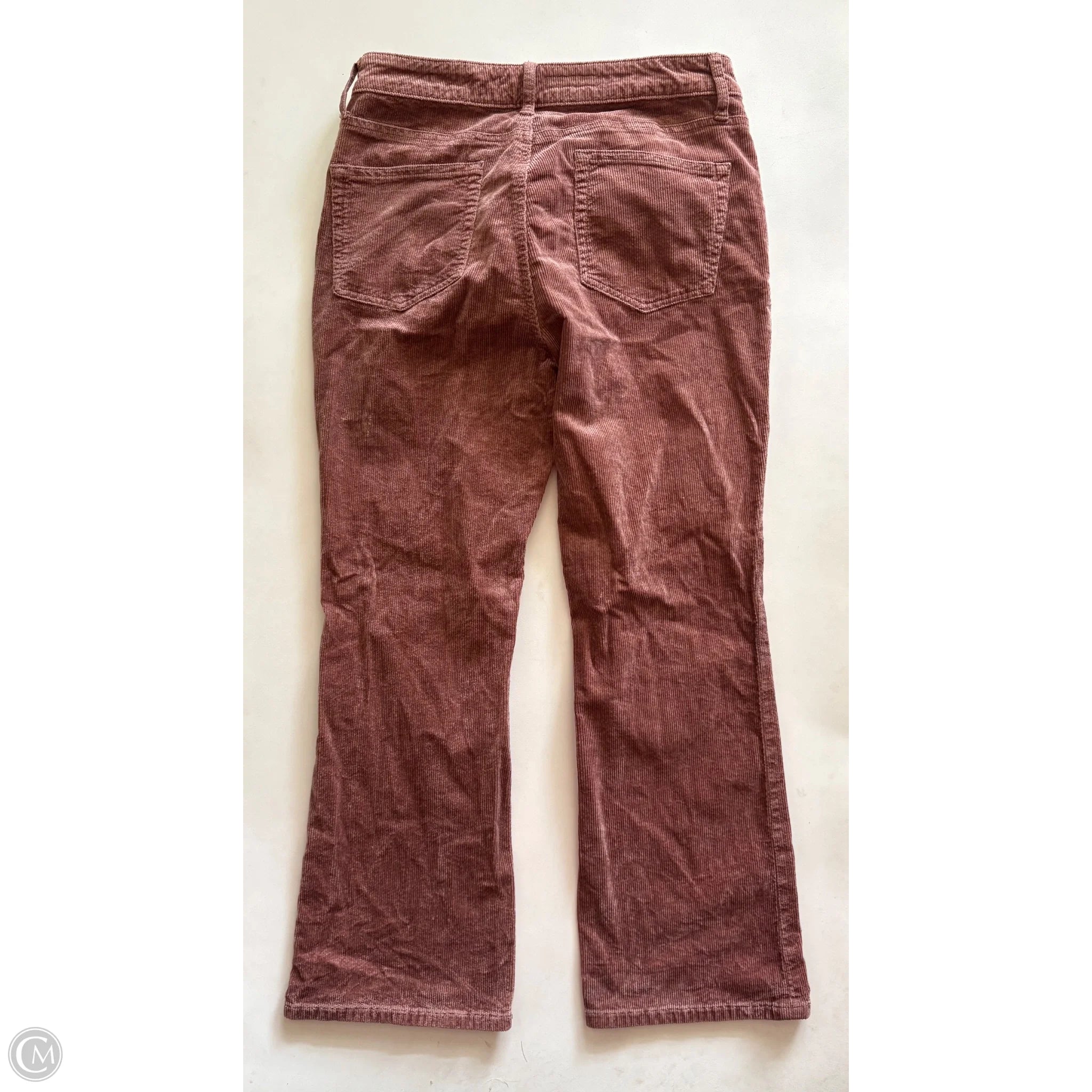 Pants Corduroy By Pilcro In Brown, Size: 8 - Image 2
