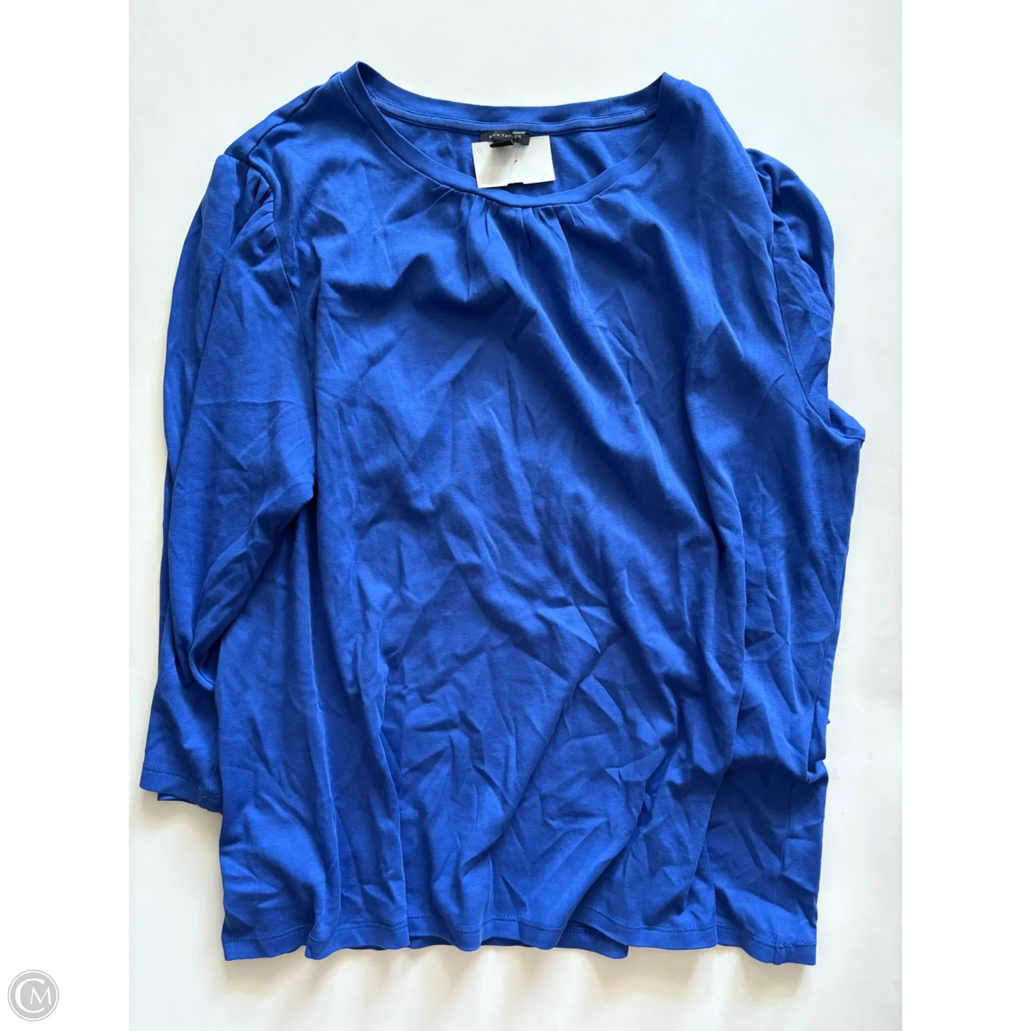 Top Long Sleeve By Ann Taylor In Blue, Size: 2x - Image 1