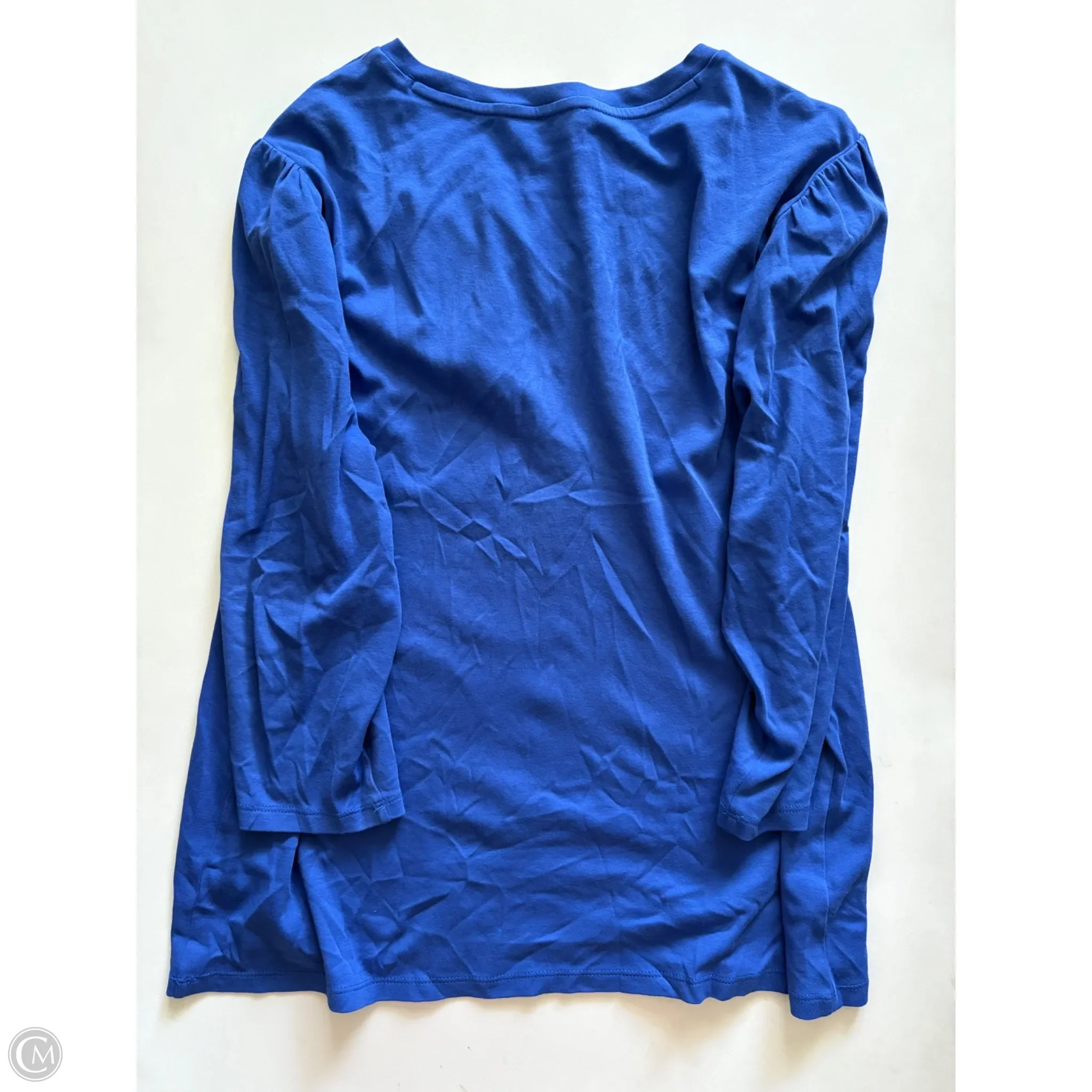 Top Long Sleeve By Ann Taylor In Blue, Size: 2x - Image 2