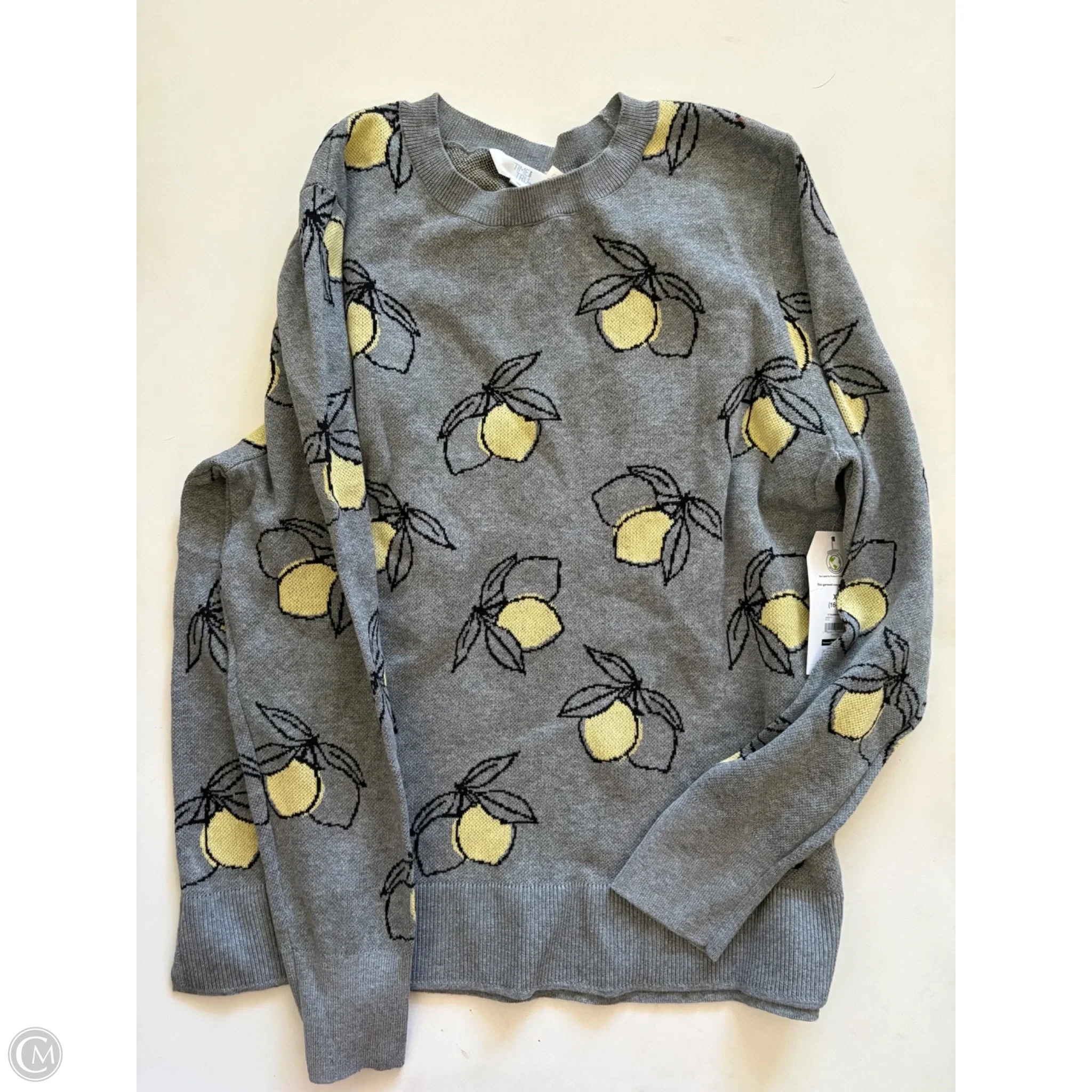 Sweater By Time And Tru In Grey, Size: Xl - Image 1