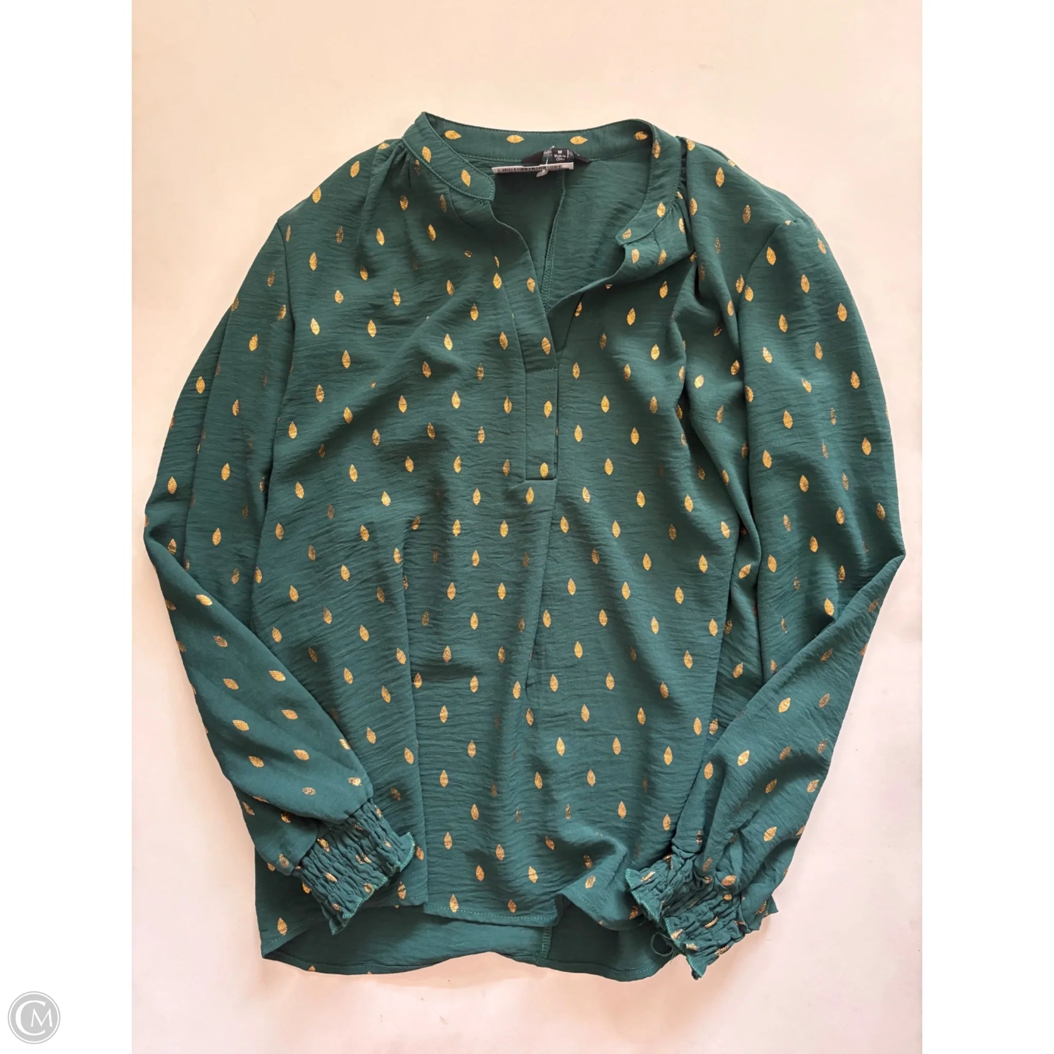 Blouse Long Sleeve By Mlle Gabrielle In Green, Size: M - Image 1