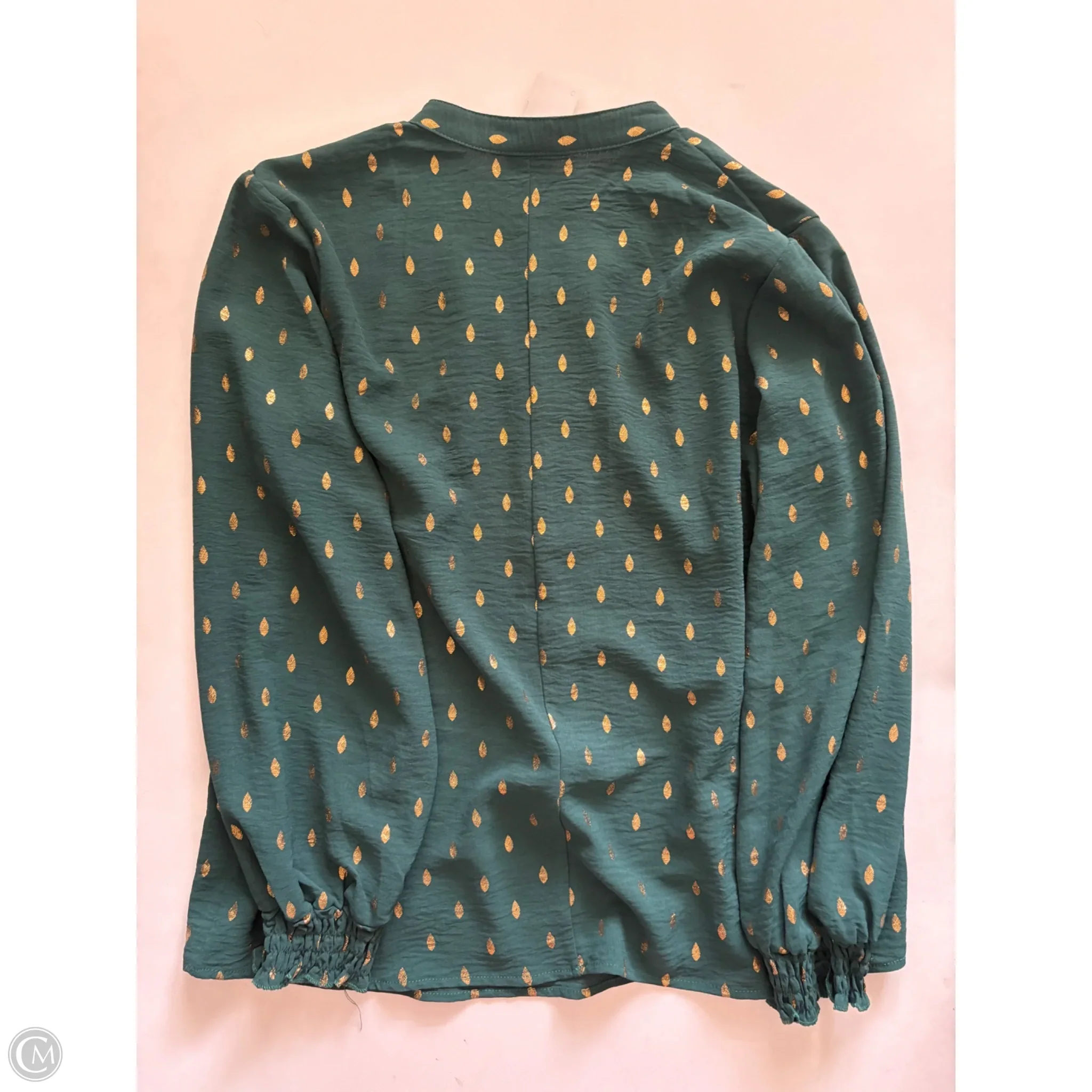 Blouse Long Sleeve By Mlle Gabrielle In Green, Size: M - Image 2
