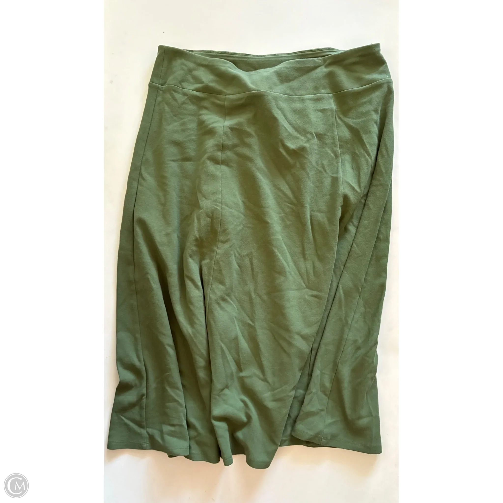Skirt Mini & Short By Appleseeds In Green, Size: Xl - Image 1