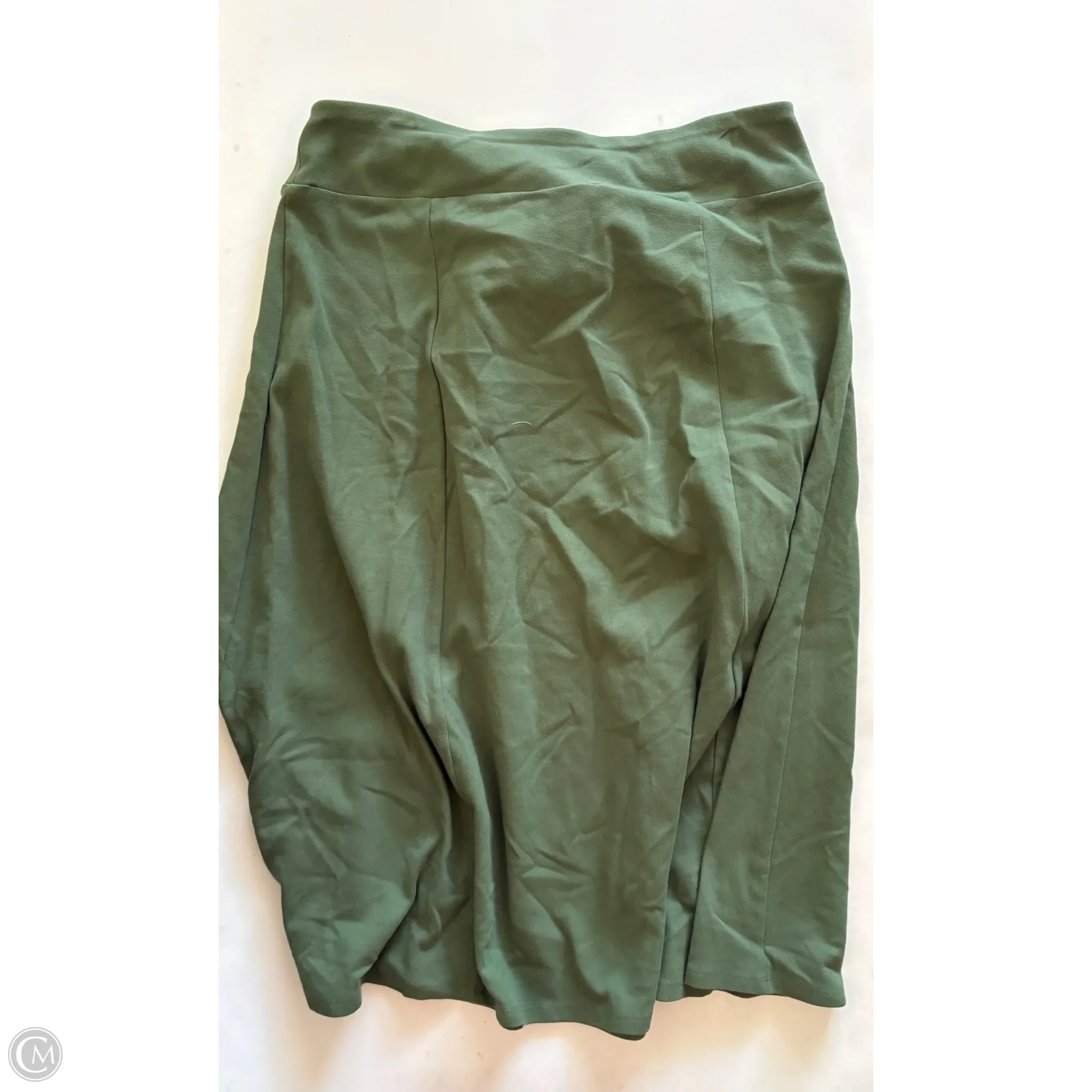 Skirt Mini & Short By Appleseeds In Green, Size: Xl - Image 2