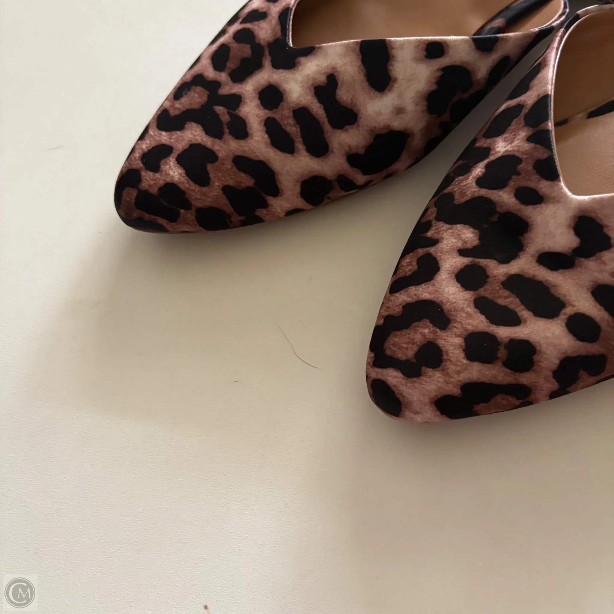 Shoes Flats By Dolce Vita In Animal Print, Size: 7.5 - Image 3