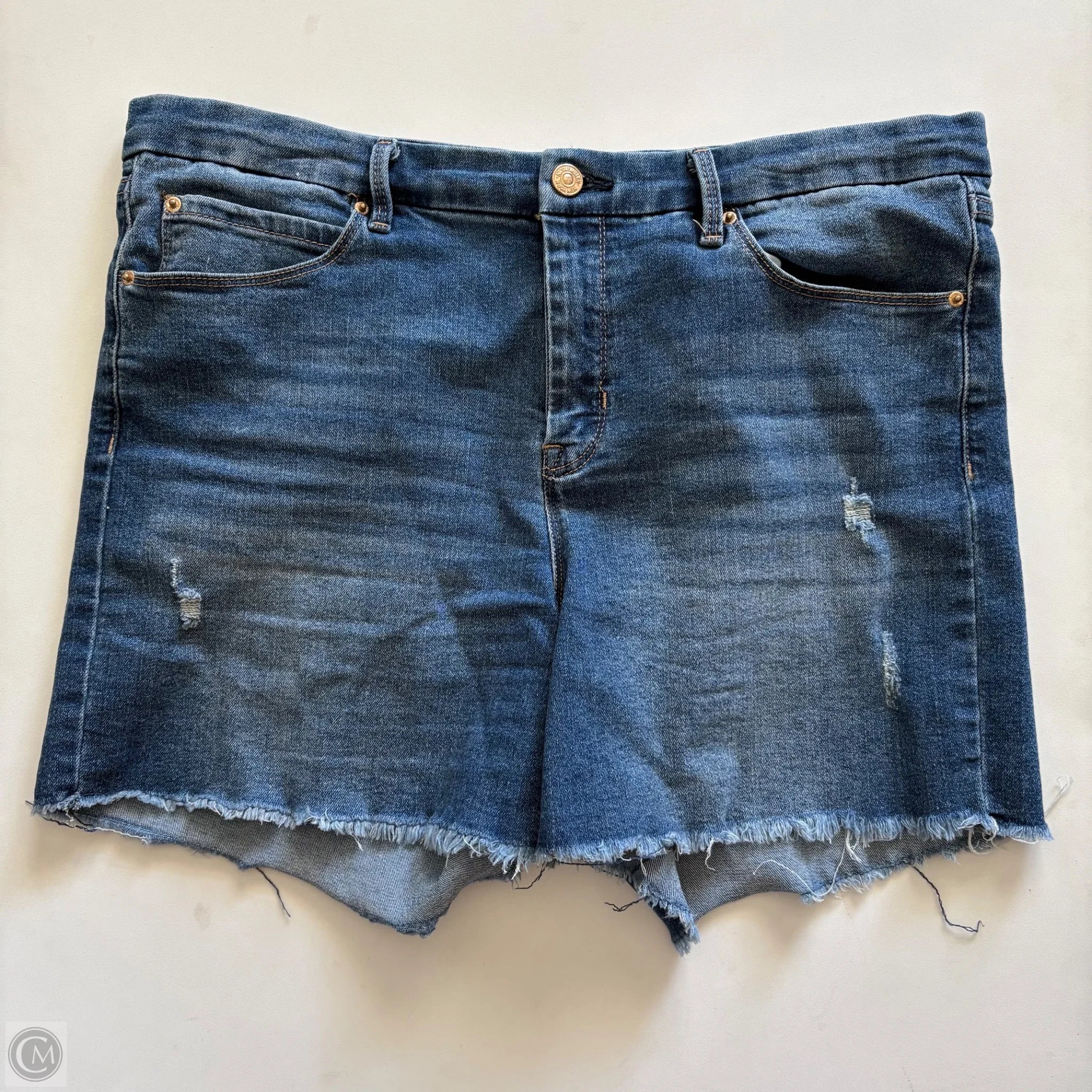 Shorts By Nicole Miller In Blue, Size: 10 - Image 1
